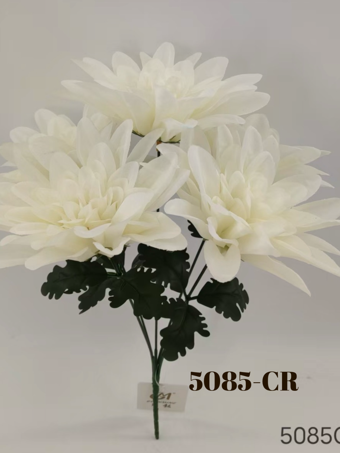 1779818242.3826451-13FBFA3C-7C69-4314-B88F-19DD57D1E14E.png