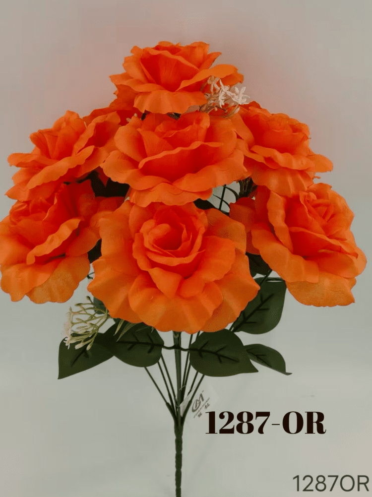 1779717740.4212132-1CBB8D27-020C-4011-BC04-1E535B262683.webp