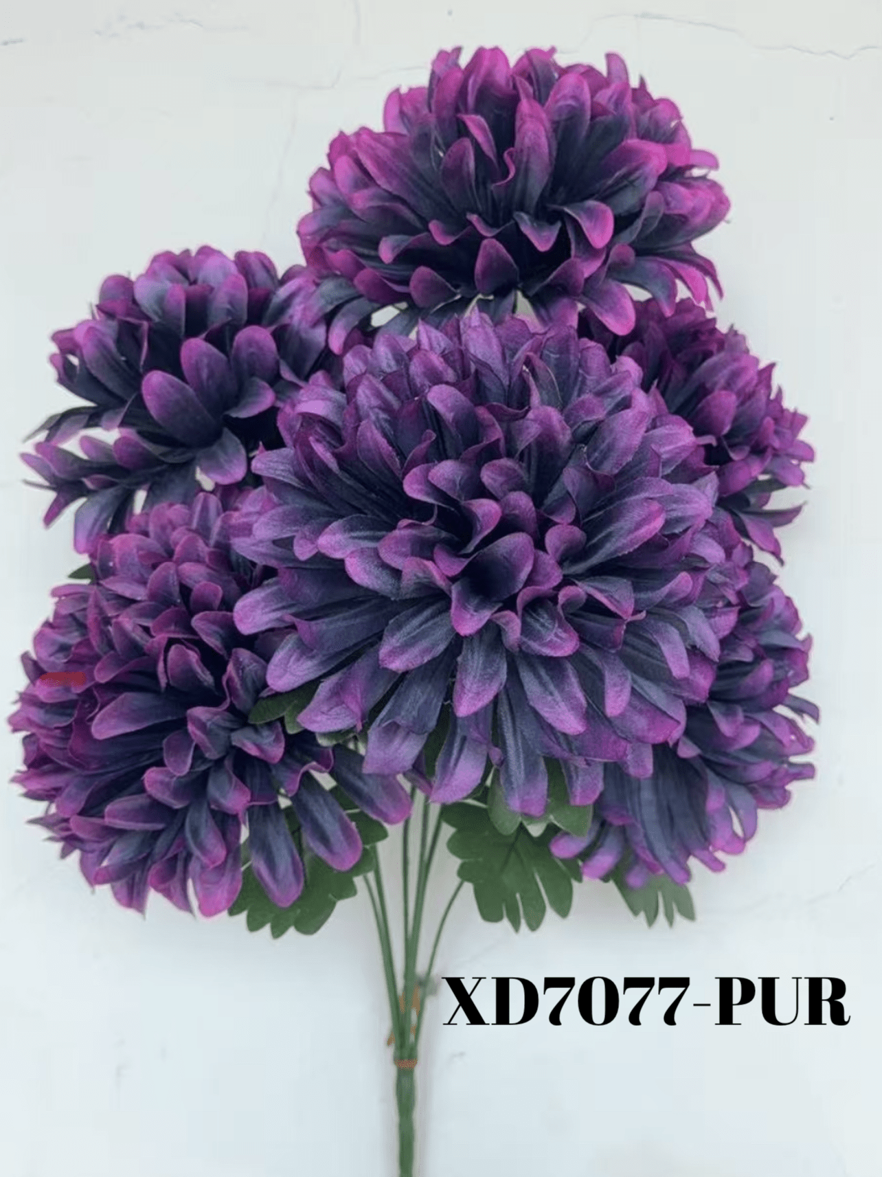 1756746770.791154-C08B872E-4667-4C75-BBE1-BF480C5C1961.webp