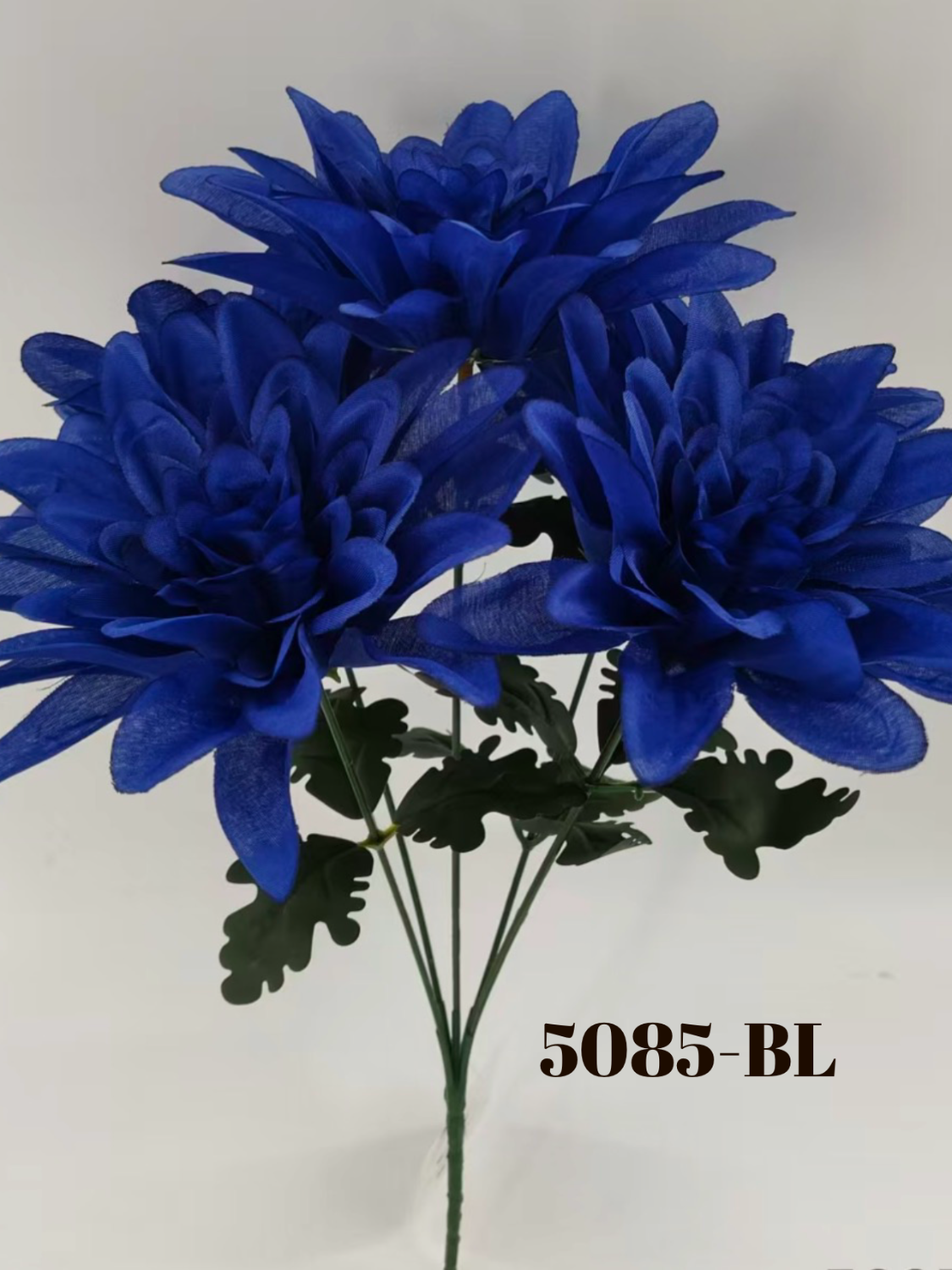 1779818197.174501-3A965F88-24F5-4CF5-9F01-87FAB8B42B56.png