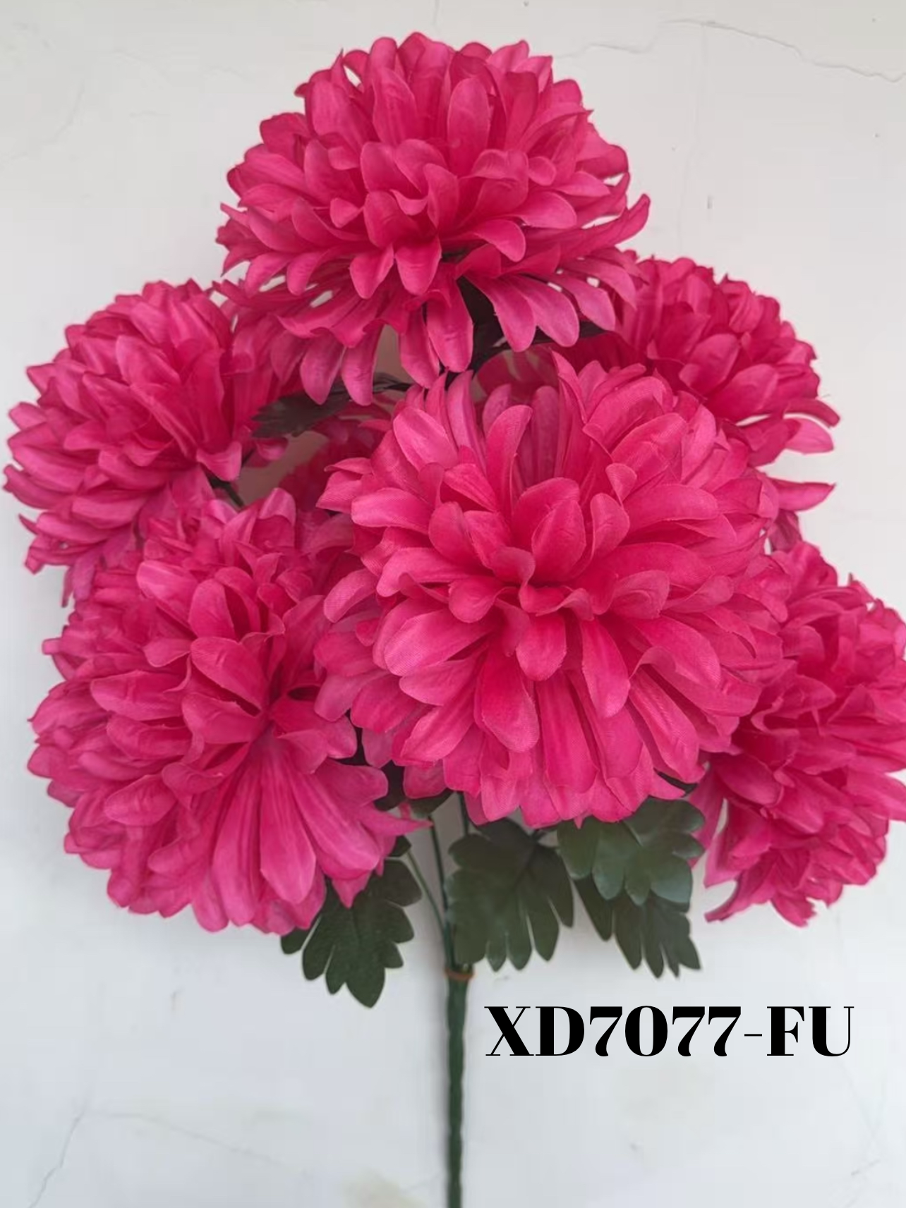 1756746714.715172-BBF24873-2058-4586-A59A-E328F15D9D3E.webp