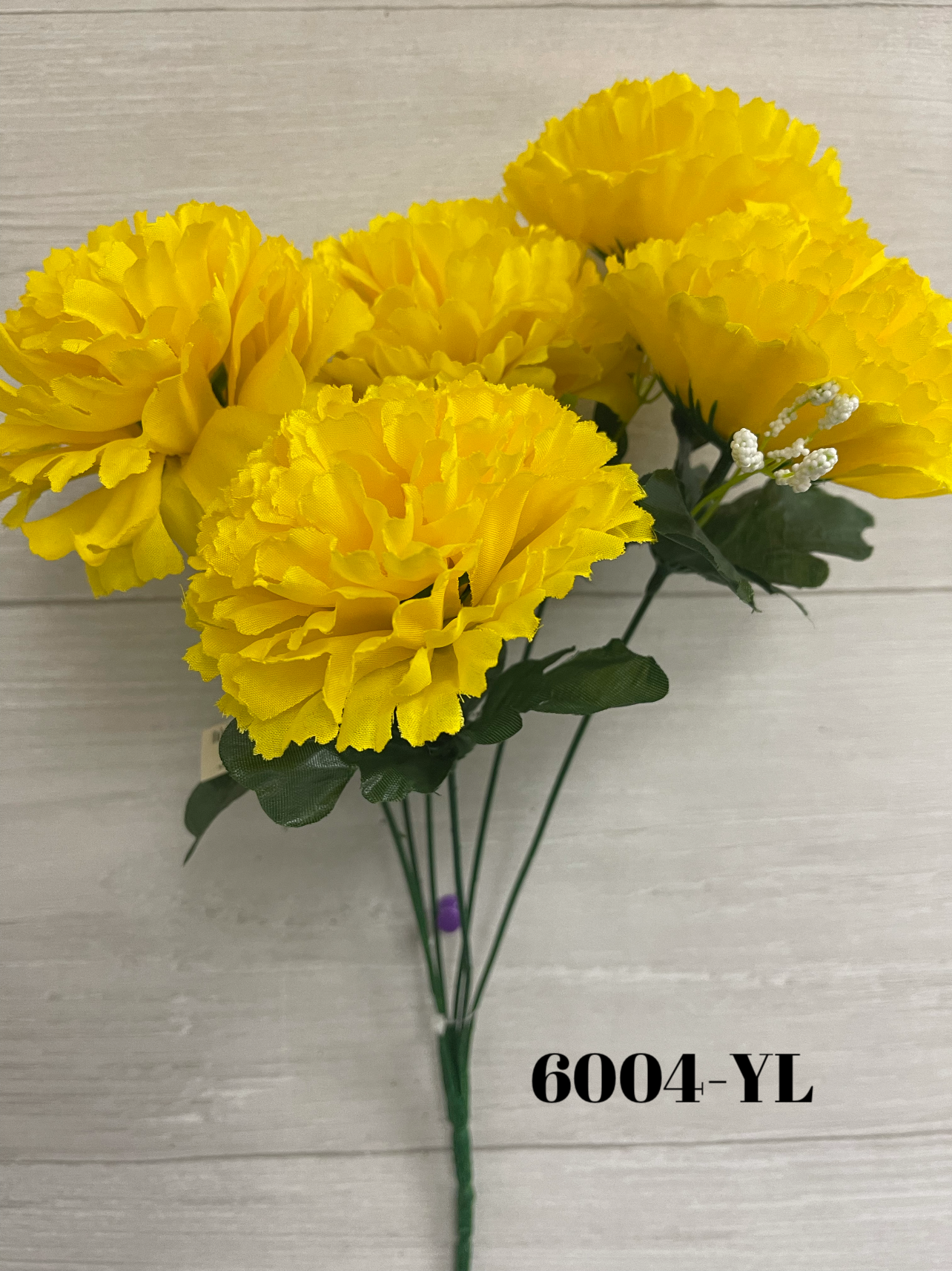 1635110196.5143309-A852A391-16E3-4EFC-B23D-F5F03D2E1944.webp