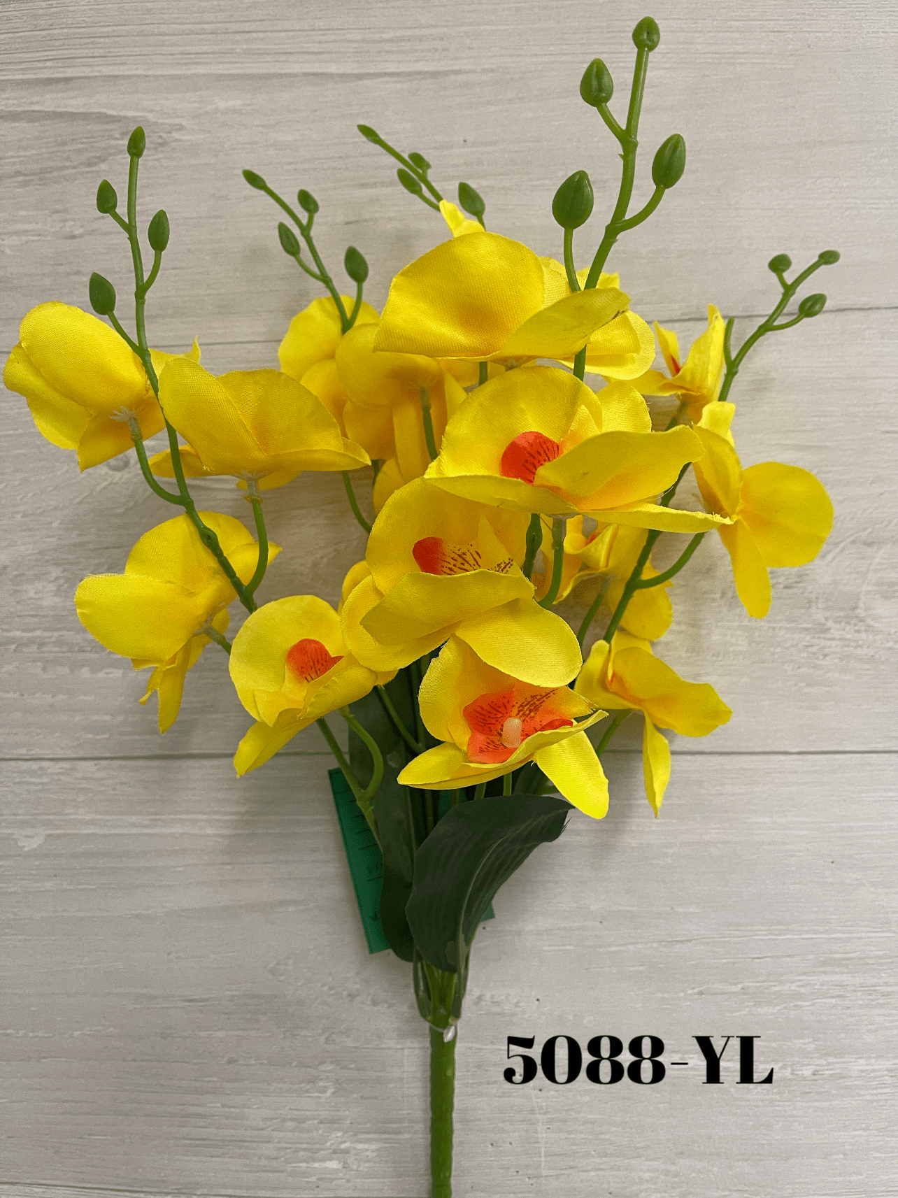 1644618540.7658892-CC44FC63-4EA0-4767-B39A-AA95040EAC02.webp