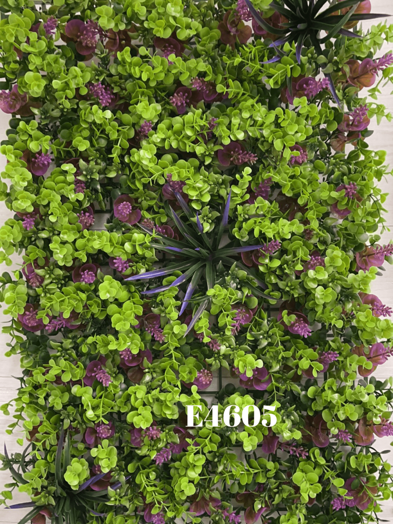 1660243256.38093-558ECED9-2AB0-45DB-95DA-541655A6CB63.webp