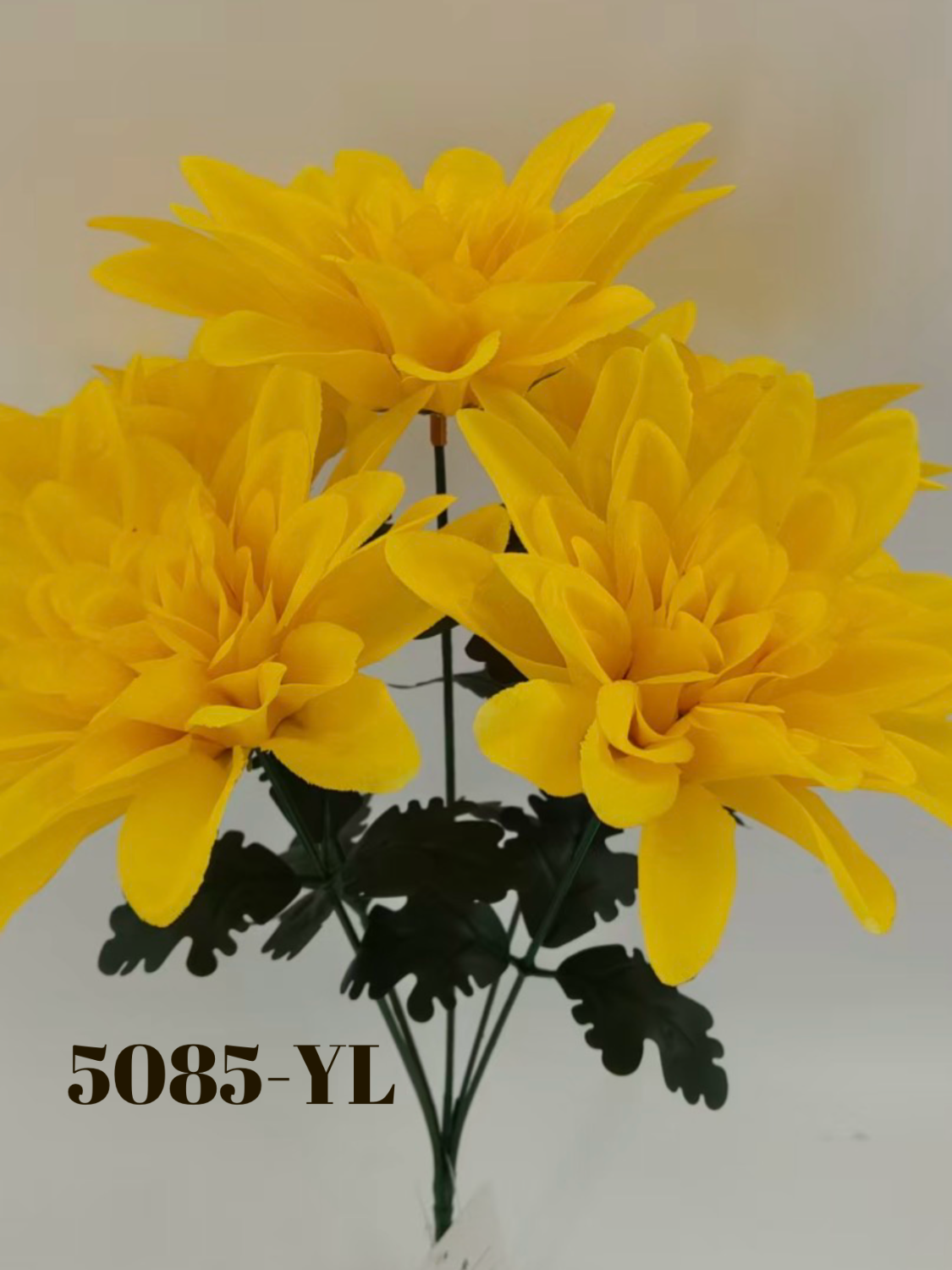 1779818483.2637038-D42B826E-B363-4785-A1BB-086E748D89E7.png