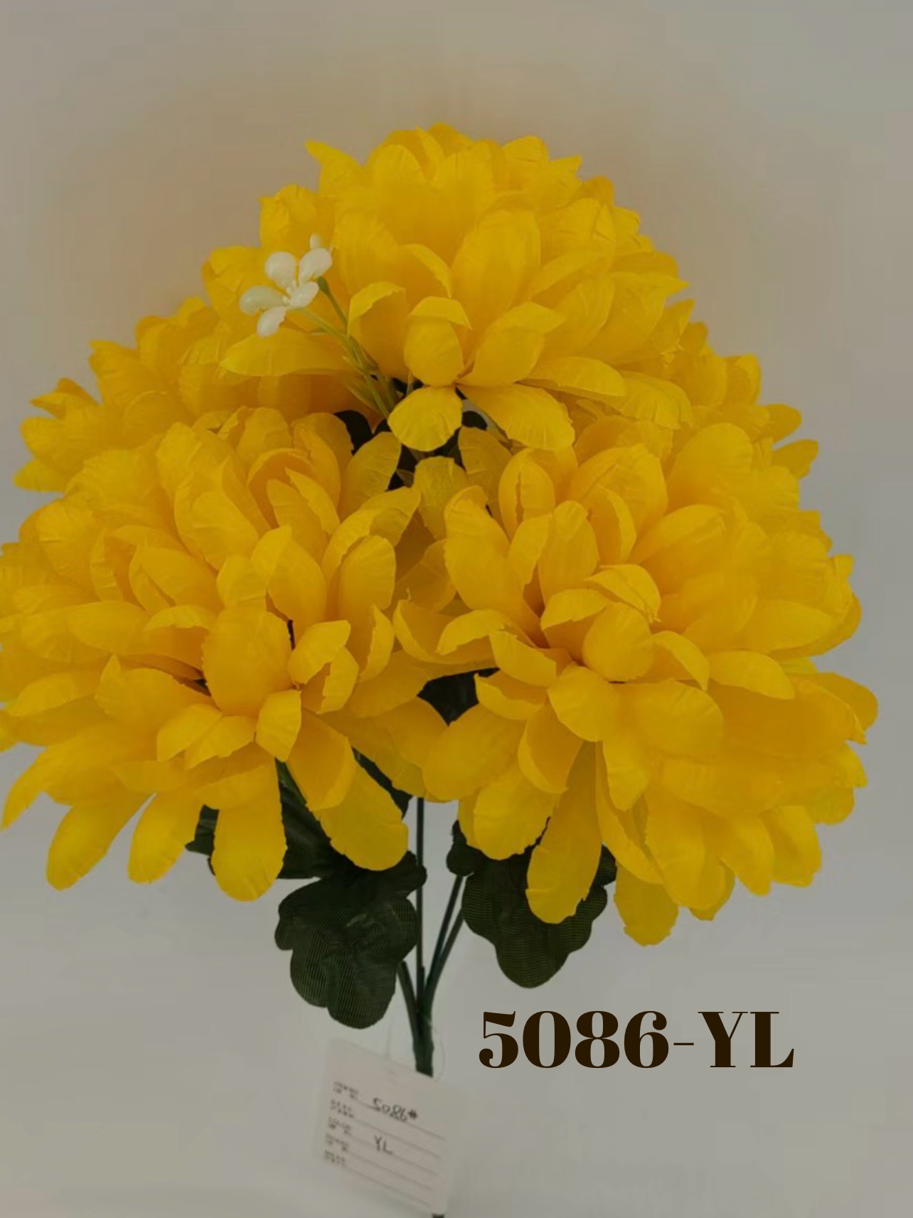 1774290689.593363-B9BF4630-5D84-420F-ACB4-4F63494F5648.png