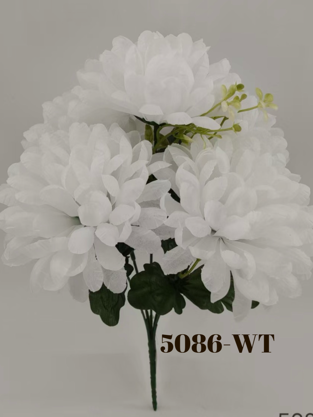 1774290575.9207978-382375BF-BA05-4D92-869E-63B22279B6B3.png