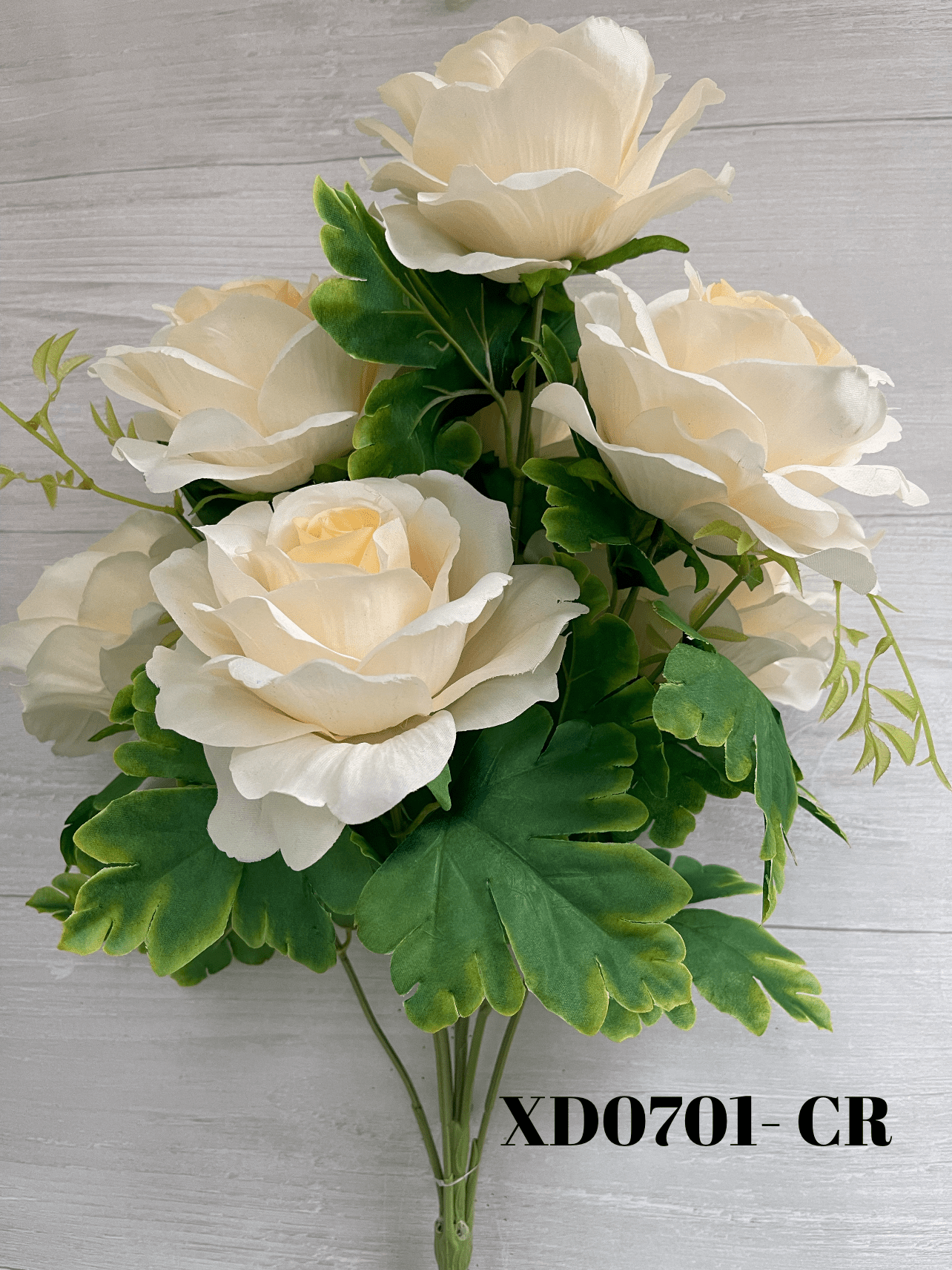 1726171415.468025-F91E6AA8-8CA9-46C3-832F-BB0C5F300AEA.webp