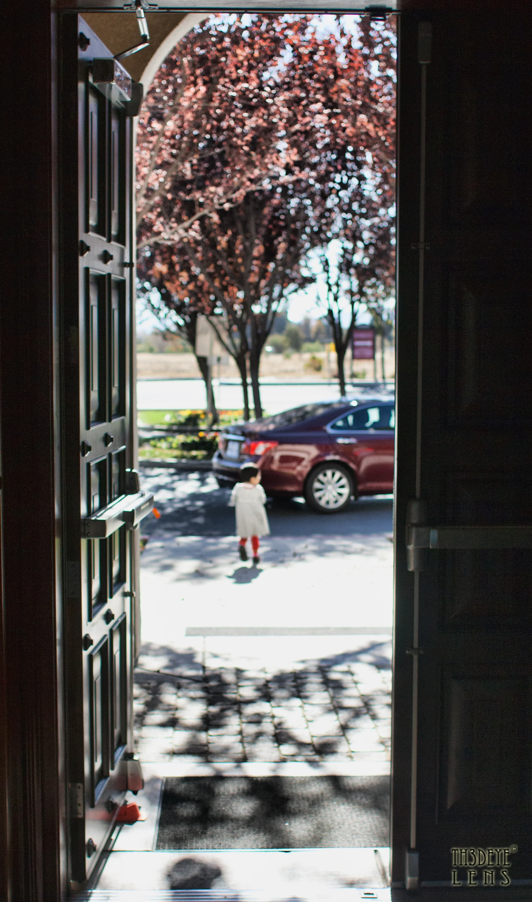 IMG_9380-Edit.jpg
