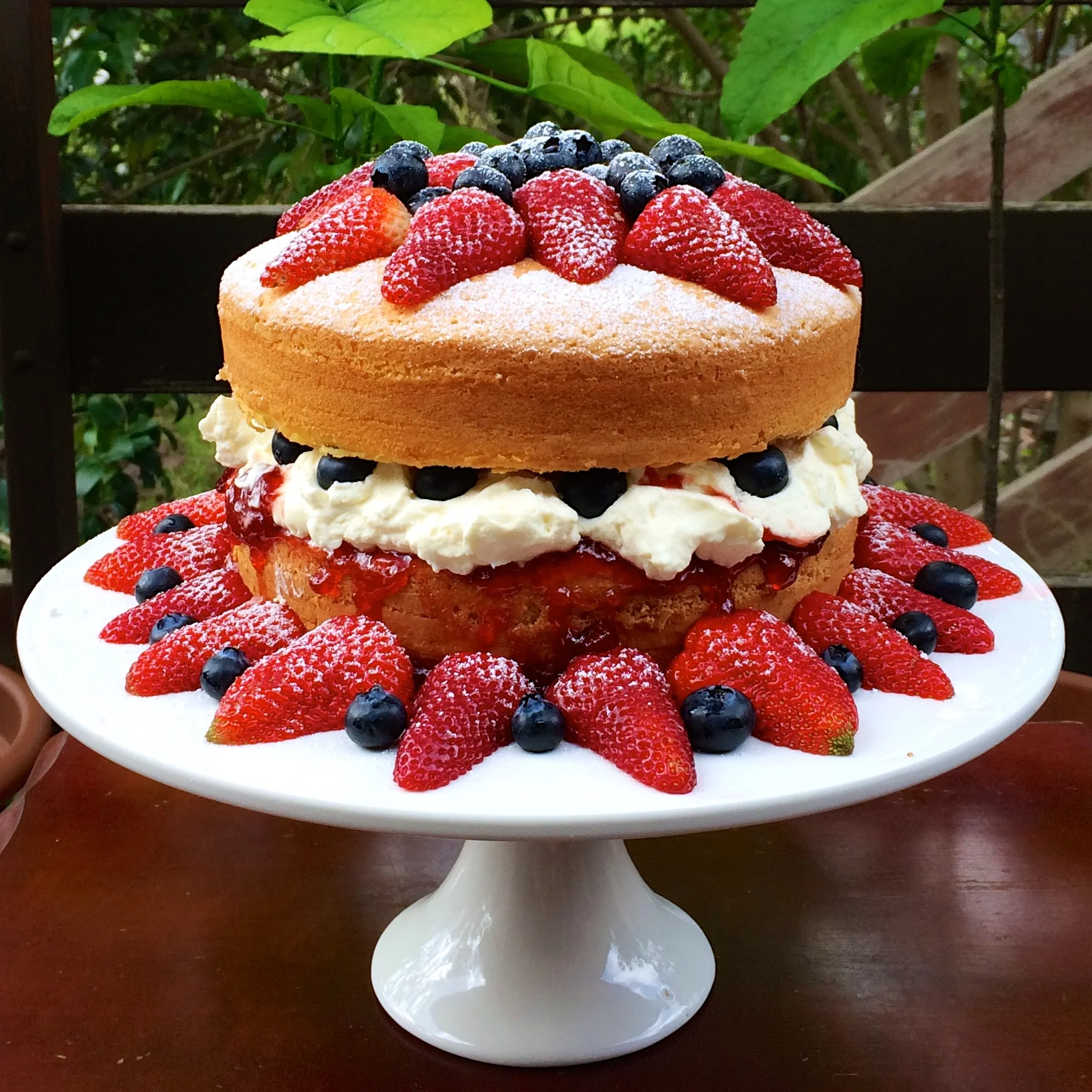 Sponge Cake