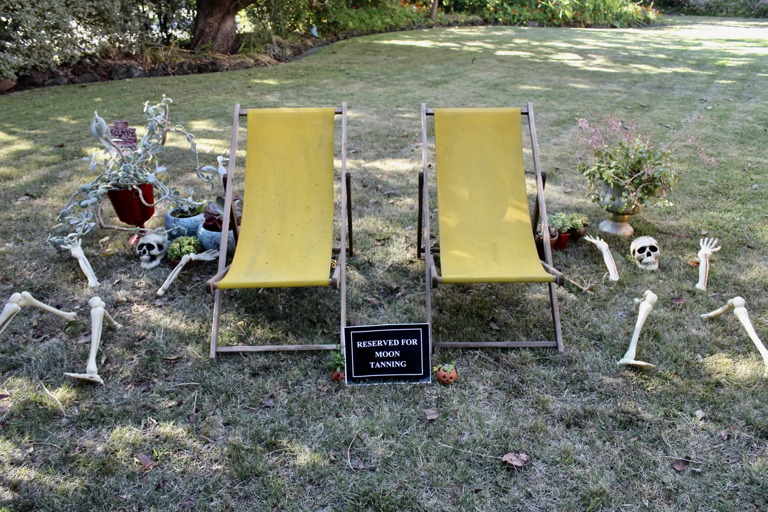 The Addams Family Moon Tanning in the Garden