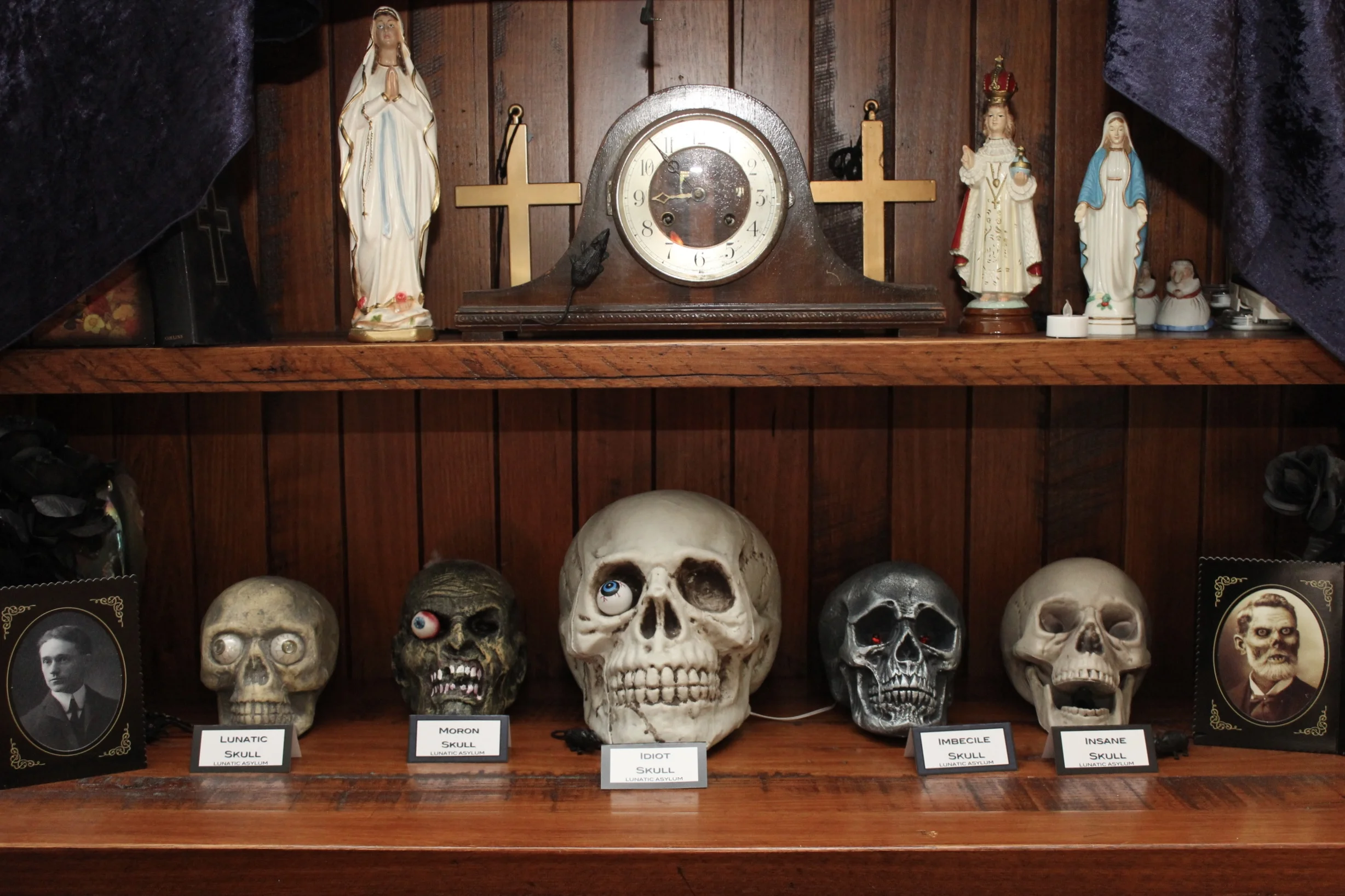 Halloween Asylum Skull Display