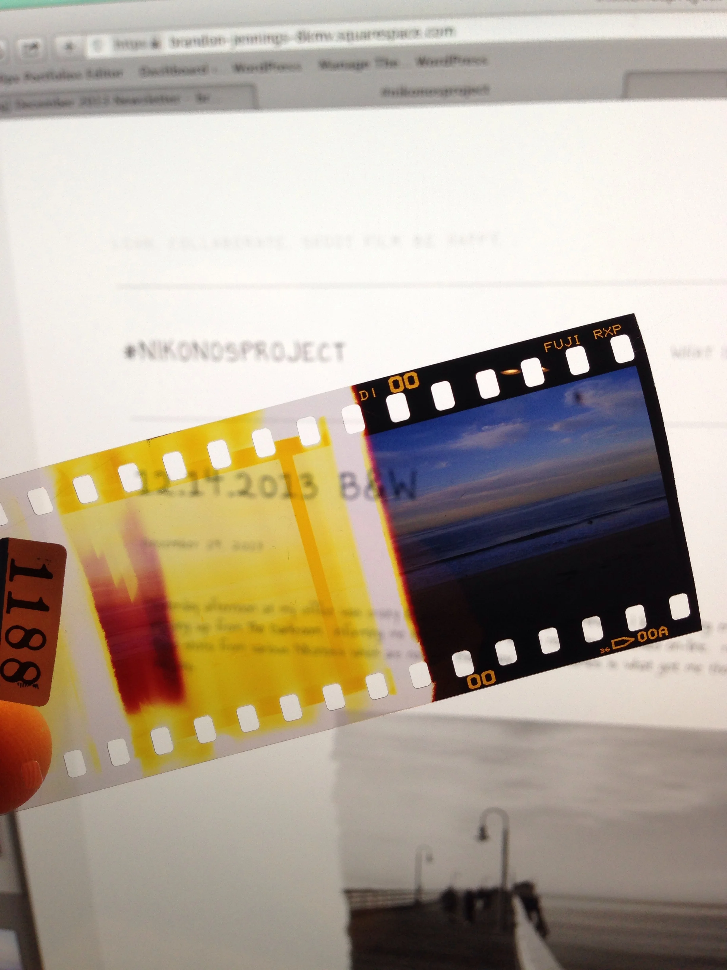 Nikonos i | Fuji provia 400 (slide) | ©brandon jennings