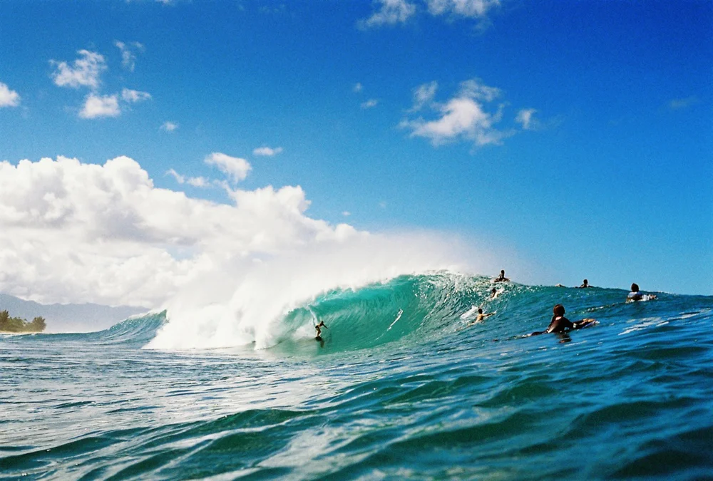 niknos v | © john hook 