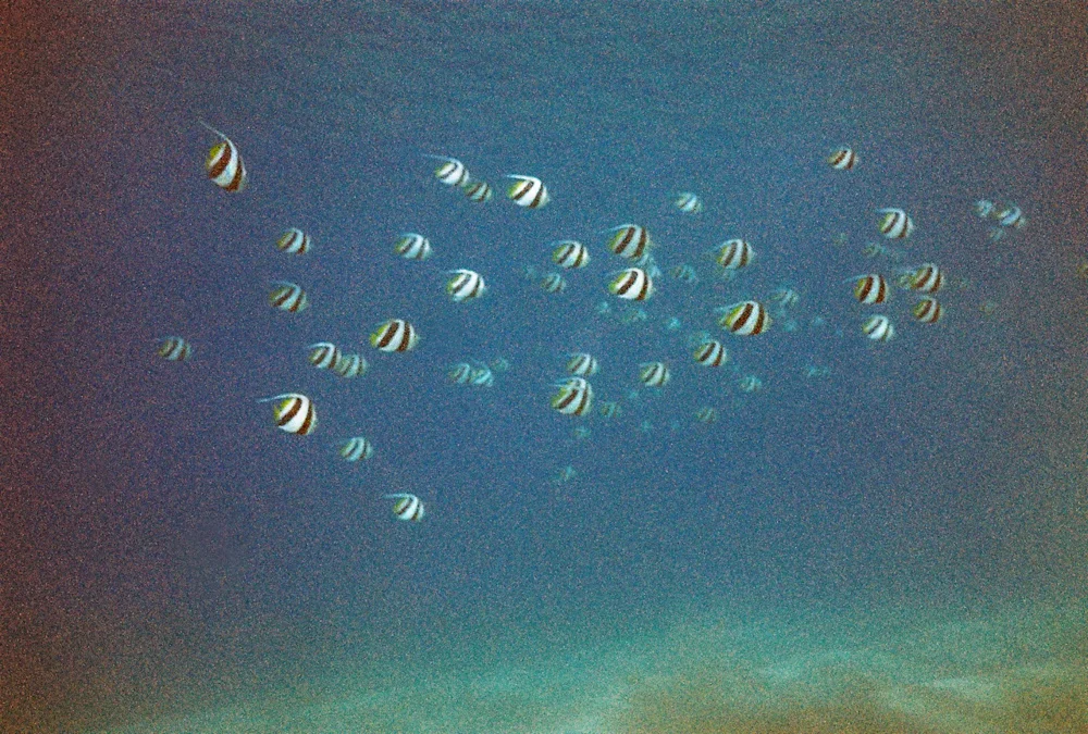 nikonos v | © john hook 