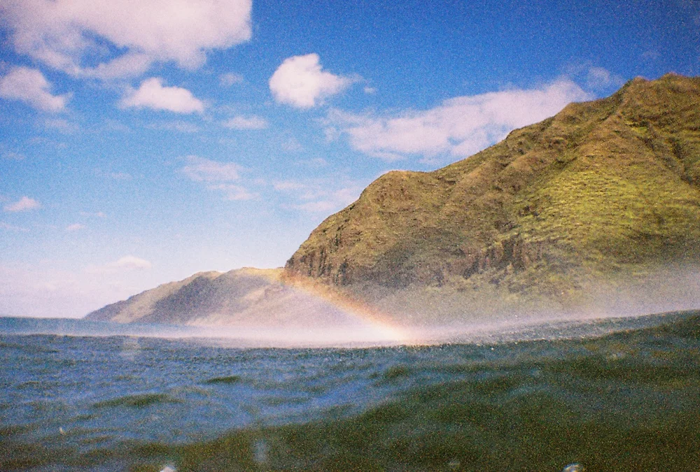 nikonos v | © john hook 