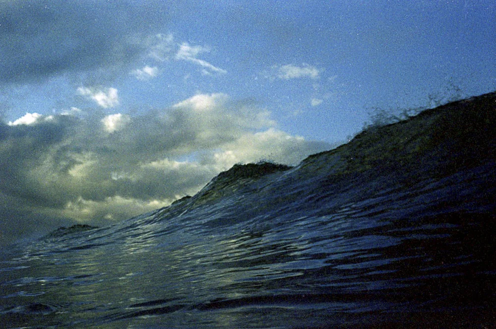 Nikonos Project ©Oriana Poindexter