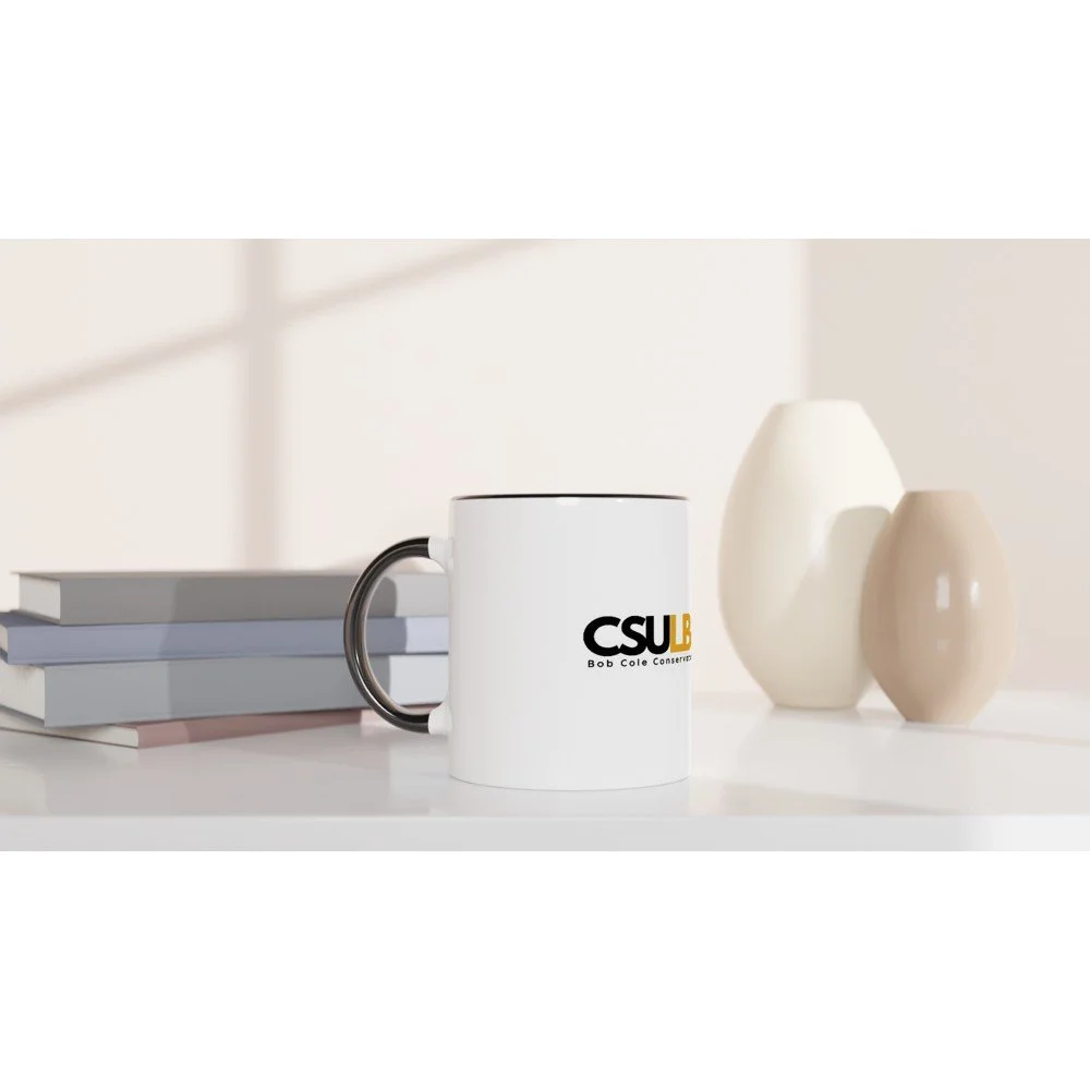 tmp-370-Br7fMrGJh7ht