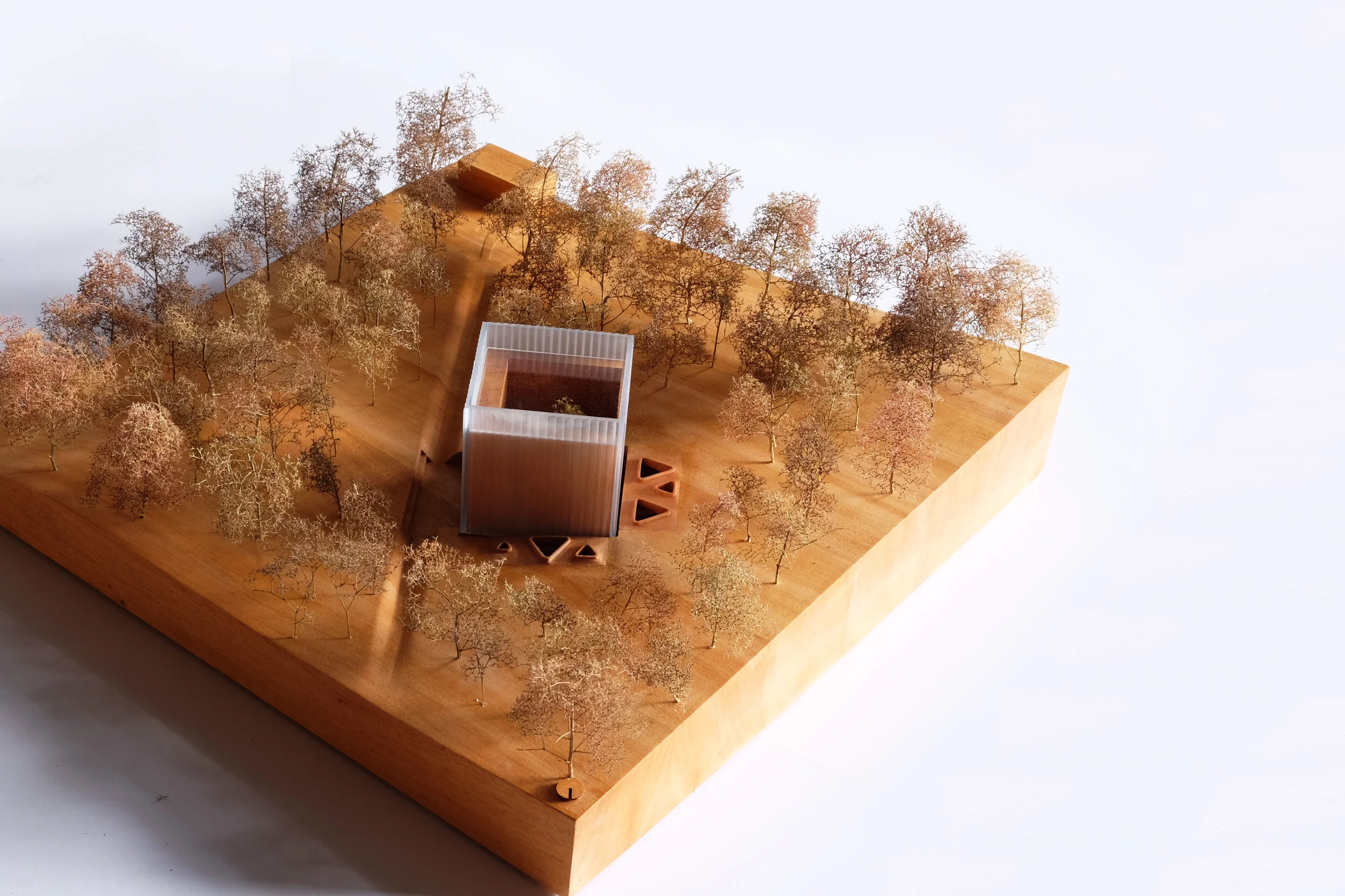 Winning Competition Entry- Ian Potter National Conservatory, CHROFI