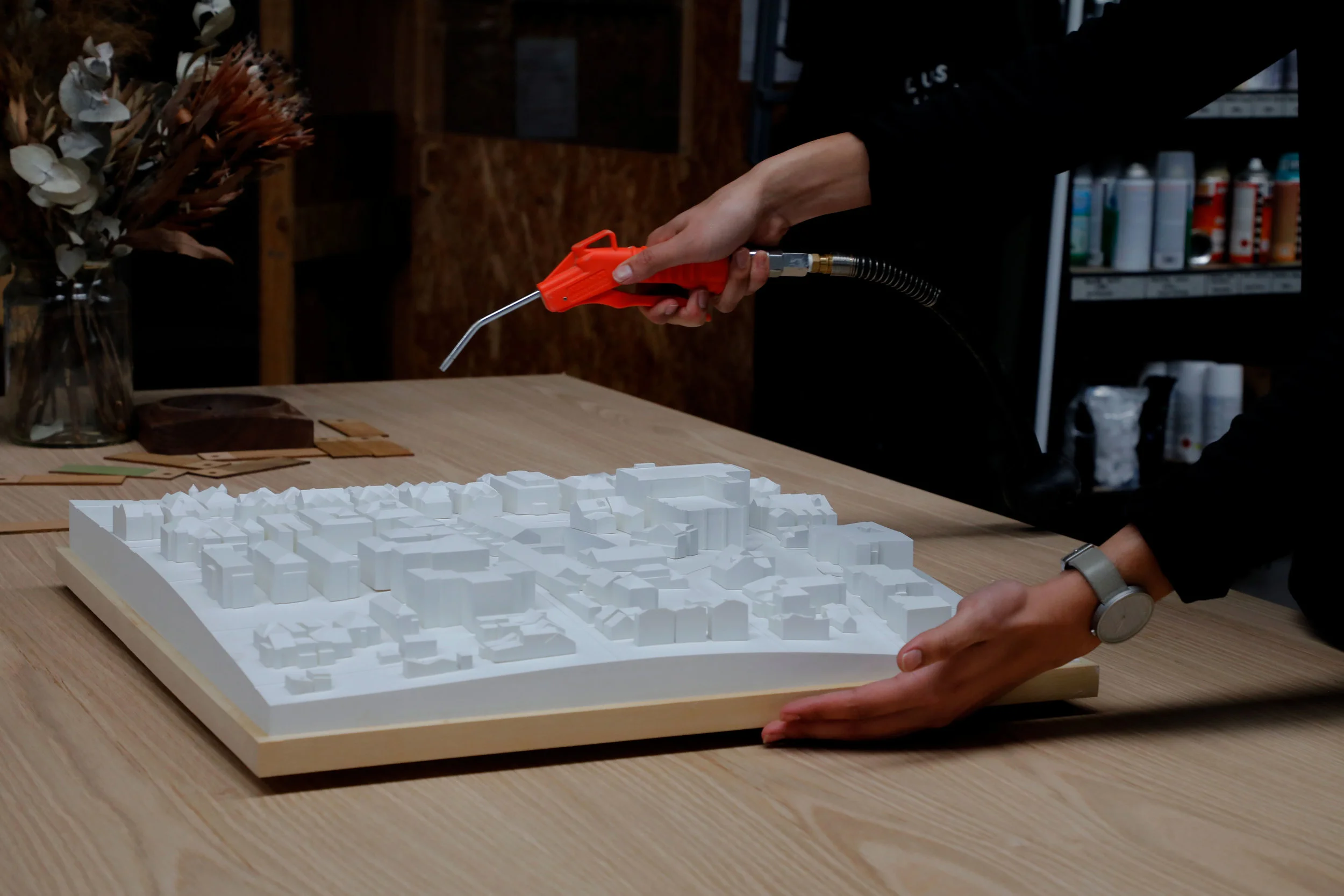 COS_DA_Model_architecture_model.jpg