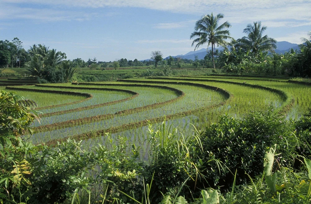 Sumatra, Indonesia