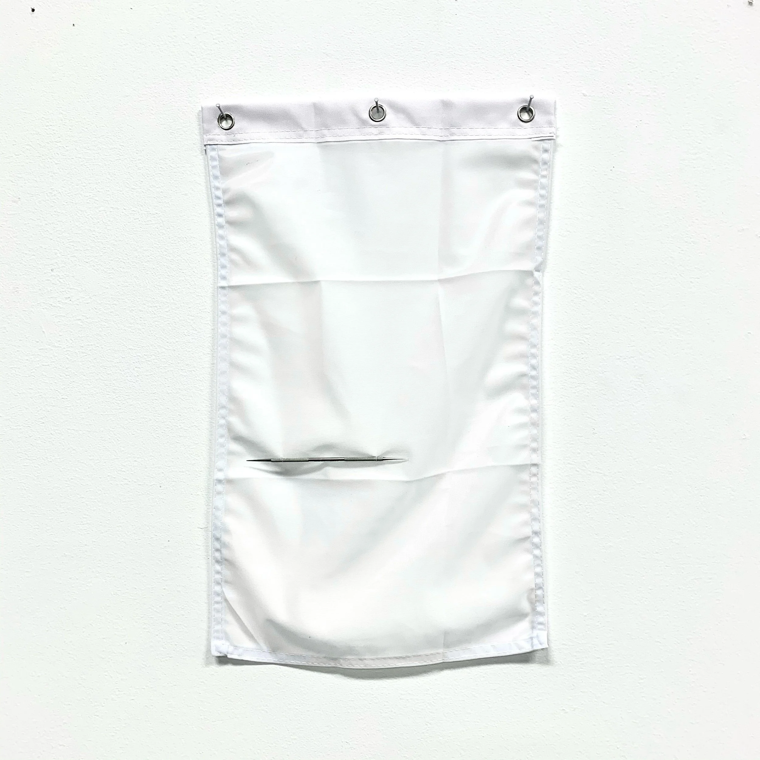 Untitled - lacrimal dilator on surrender flag