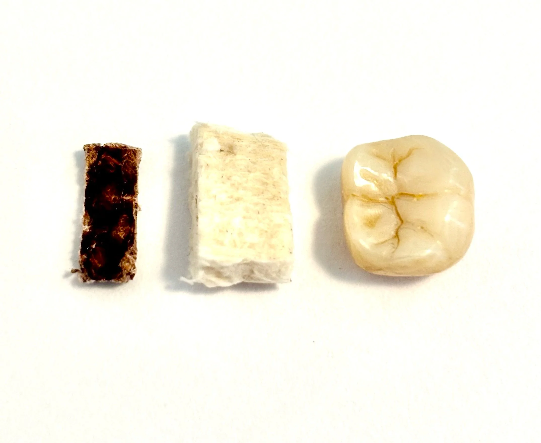 Sacrificials - Soyuz TMA - 19 flown heat shield fragment and heat resistant ablative coating with zirconium dental crown