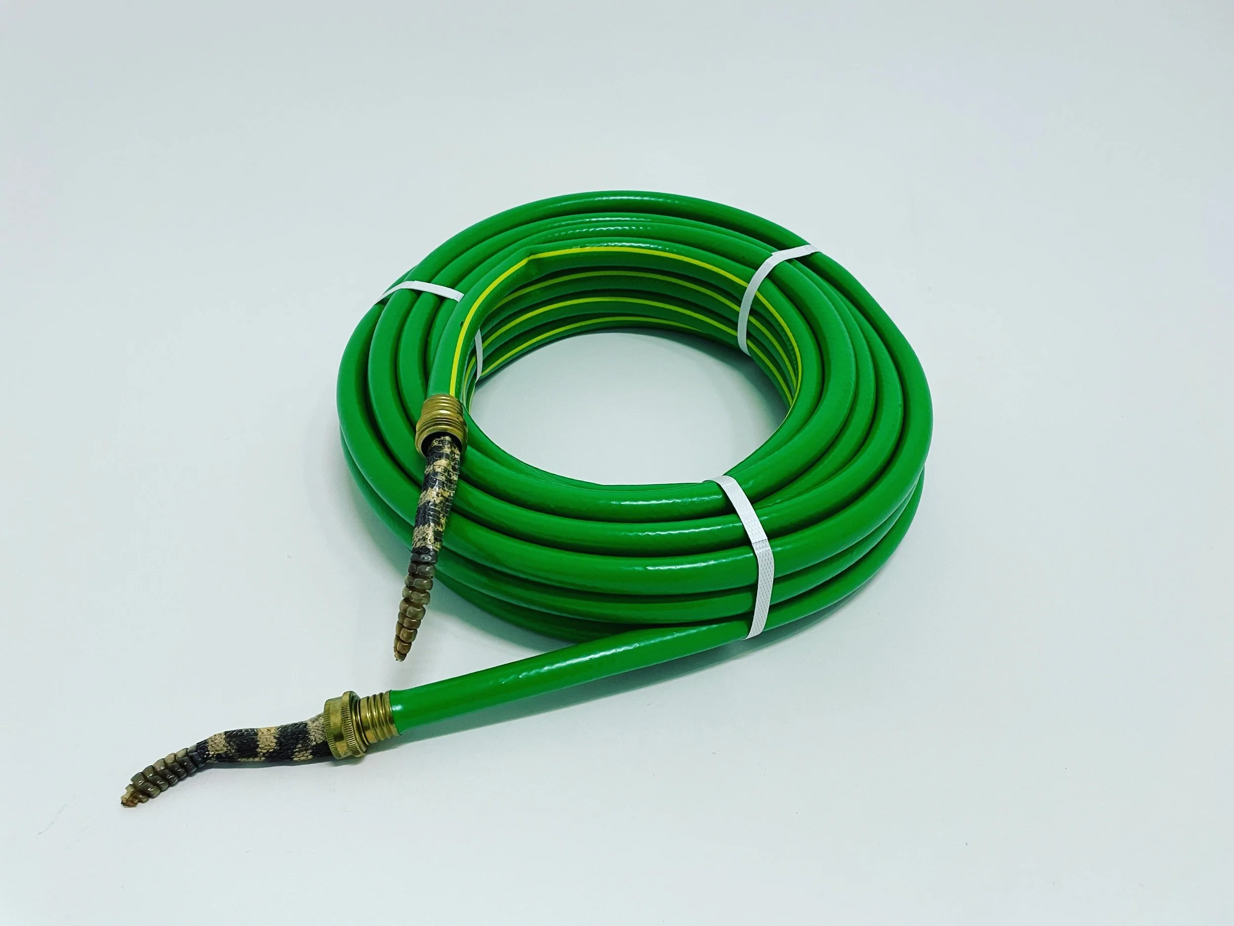 untitled - garden hose with rattlesnake taxidermy 