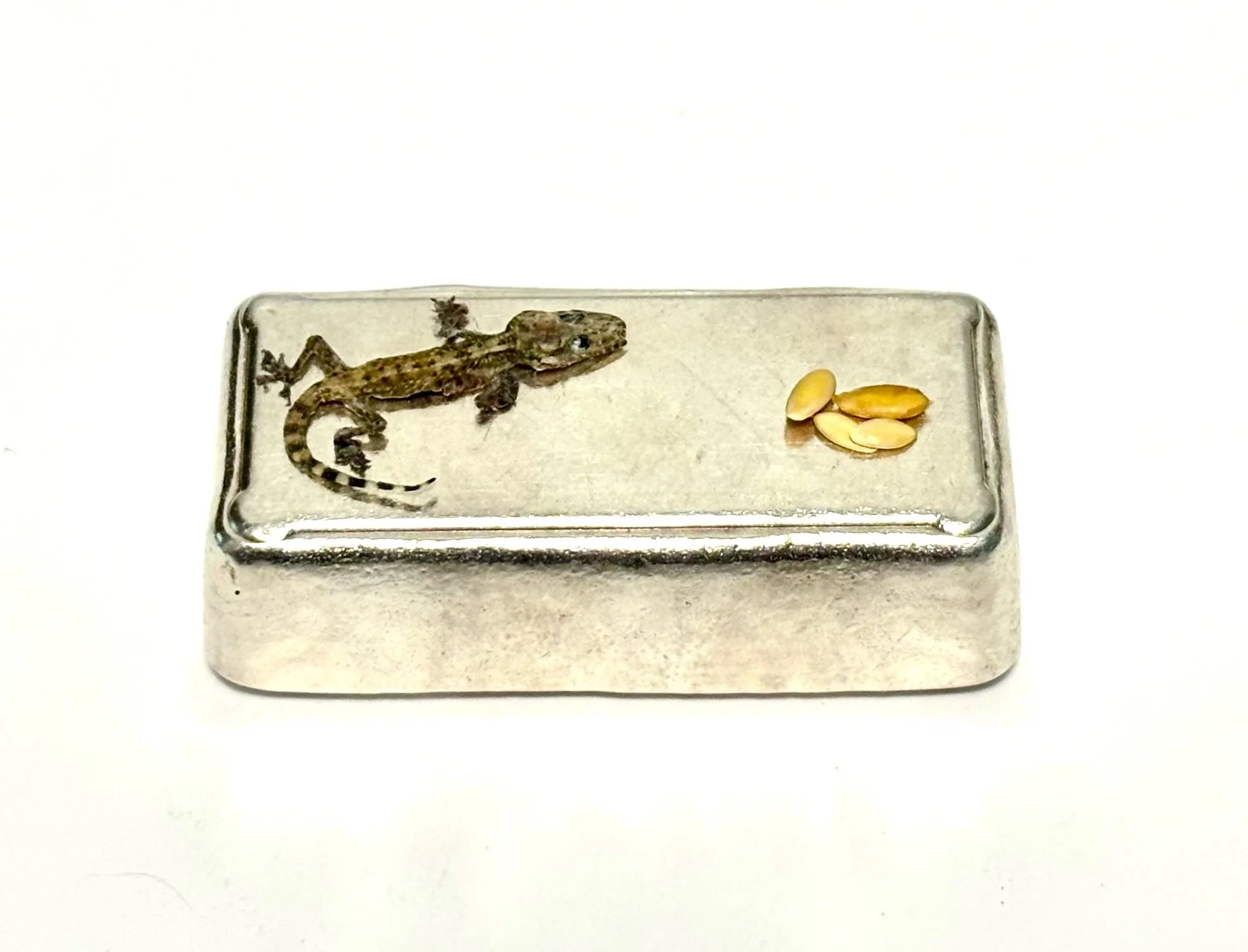 Colder Light  (w/chamoe) - 10 oz. Scottsdale mint silver bar, dehydrated adolescent moon gecko and Korean melon seeds