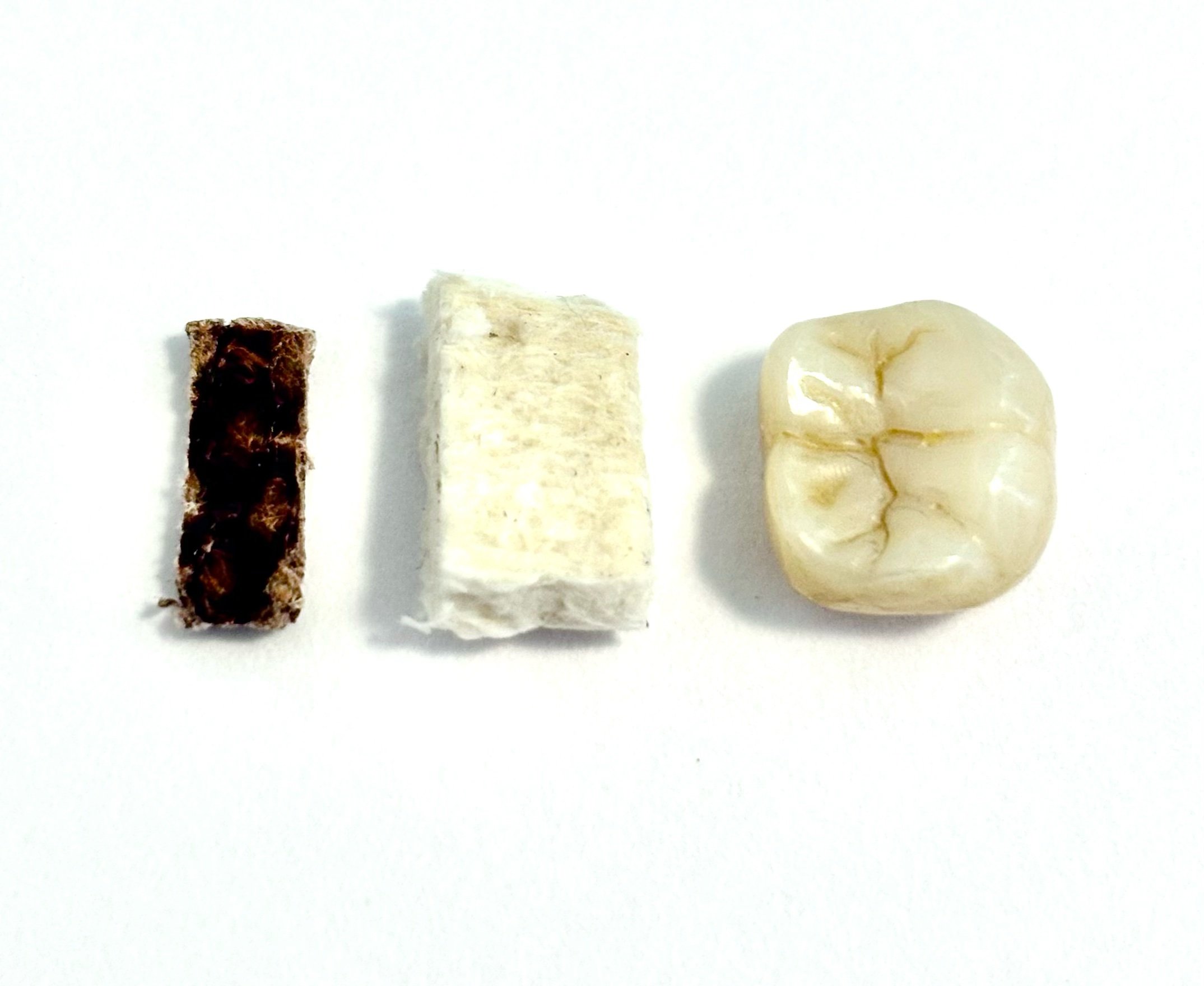 sacrificials - Soyuz TMA - 19 flown heat shield fragment and heat resistant ablative coating with zirconium dental crown