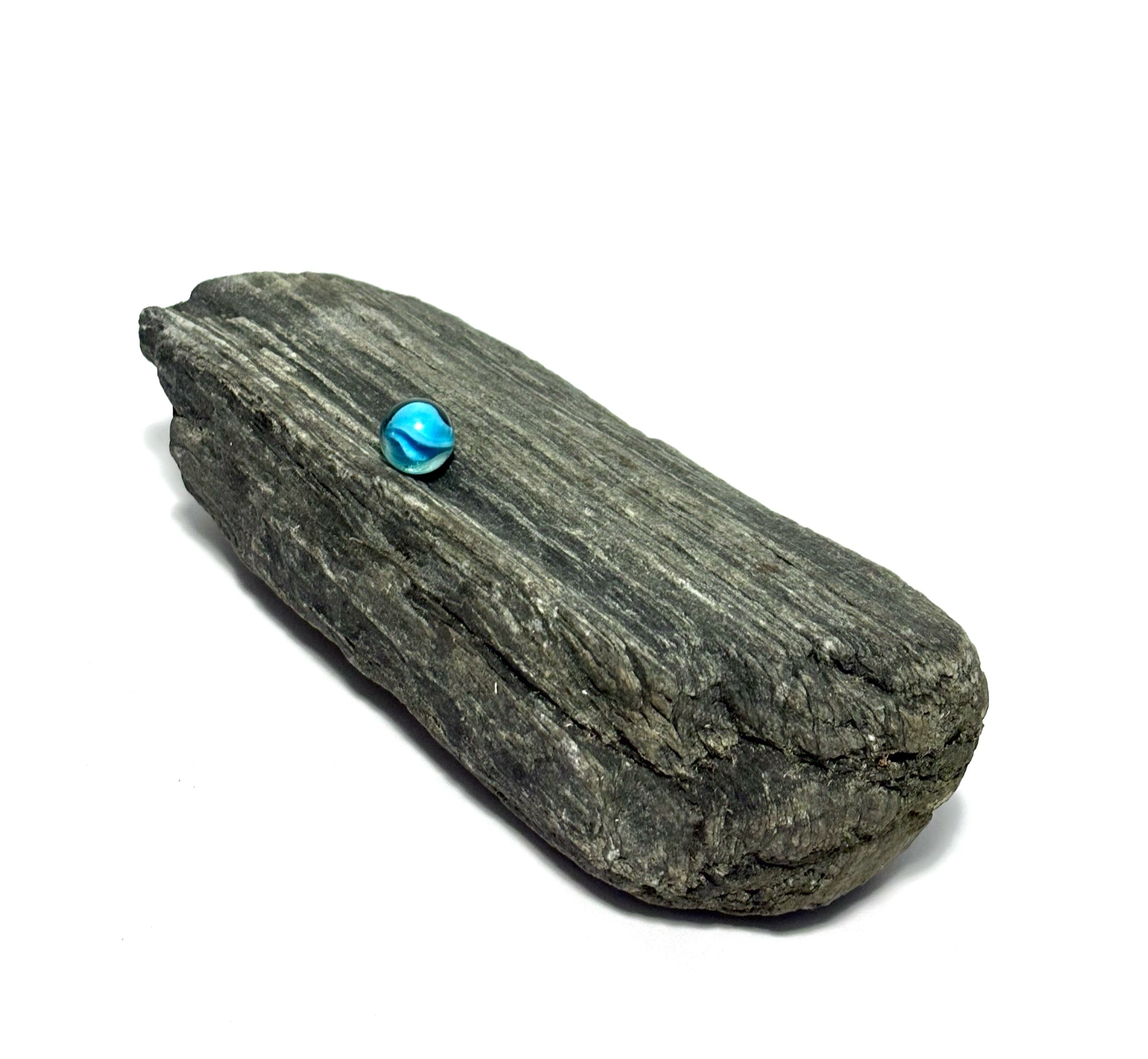 under (newsenses) - petrified wood under glass marble 