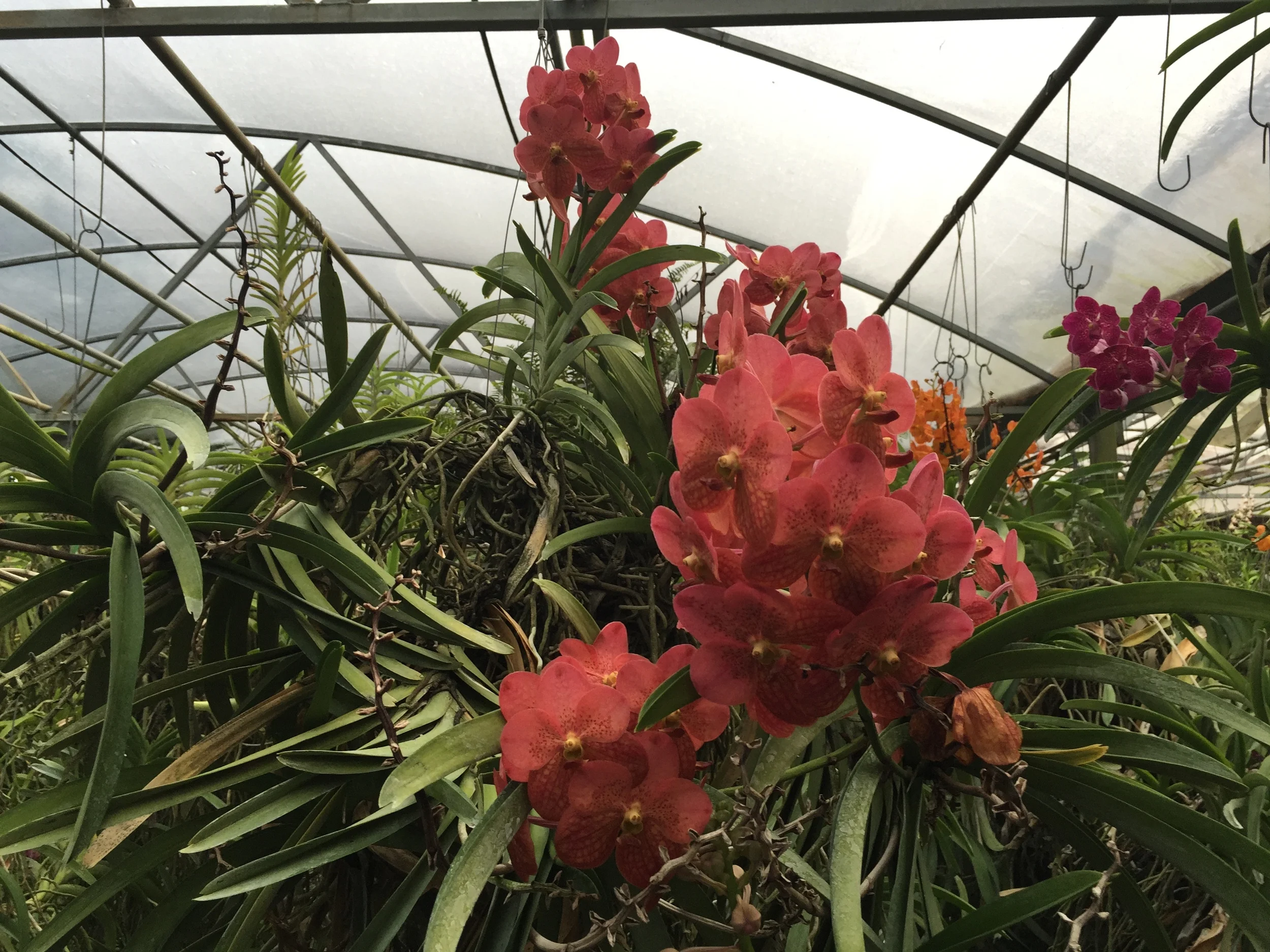 2015-09-10 07.54.36.jpg