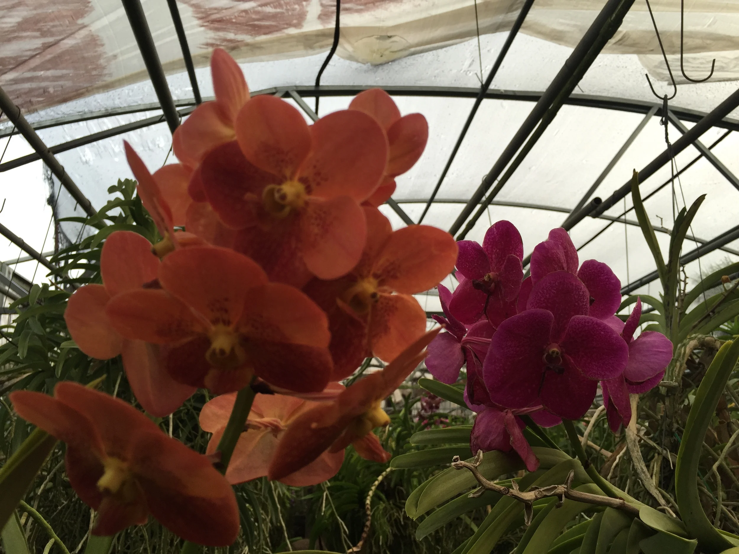 2015-09-10 08.04.37.jpg