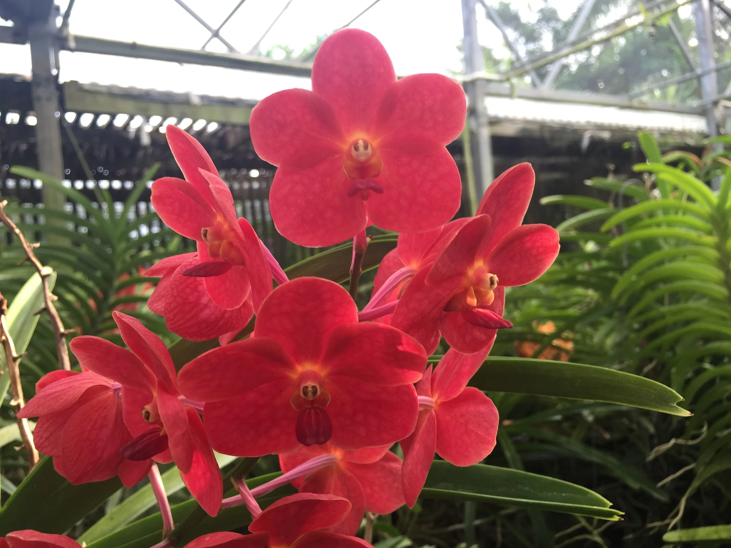 2015-09-10 08.23.42.jpg