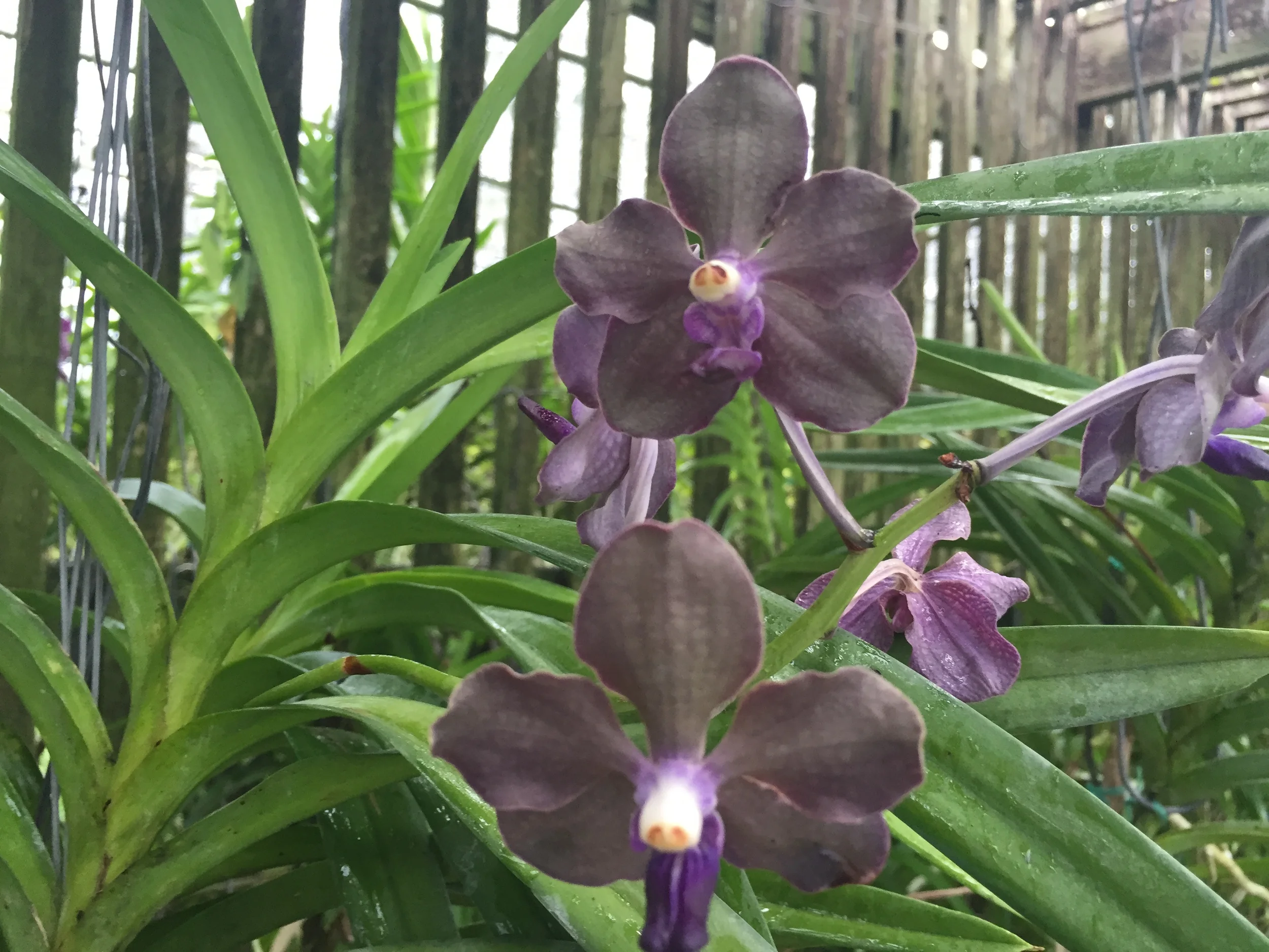 2015-09-10 08.27.36.jpg