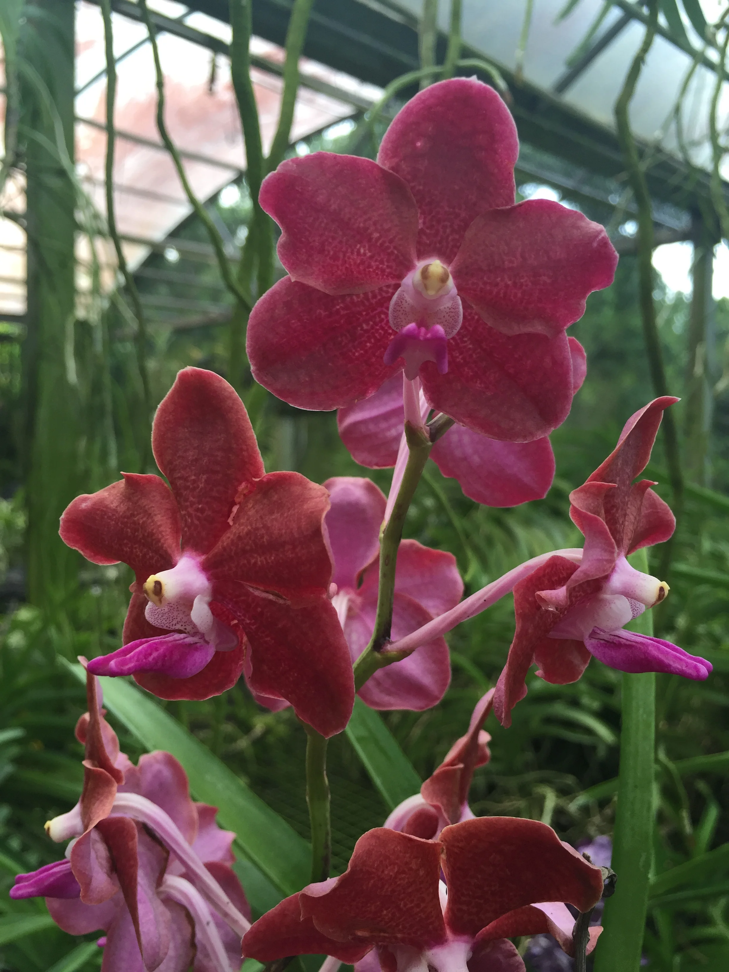 2015-09-10 08.29.13.jpg