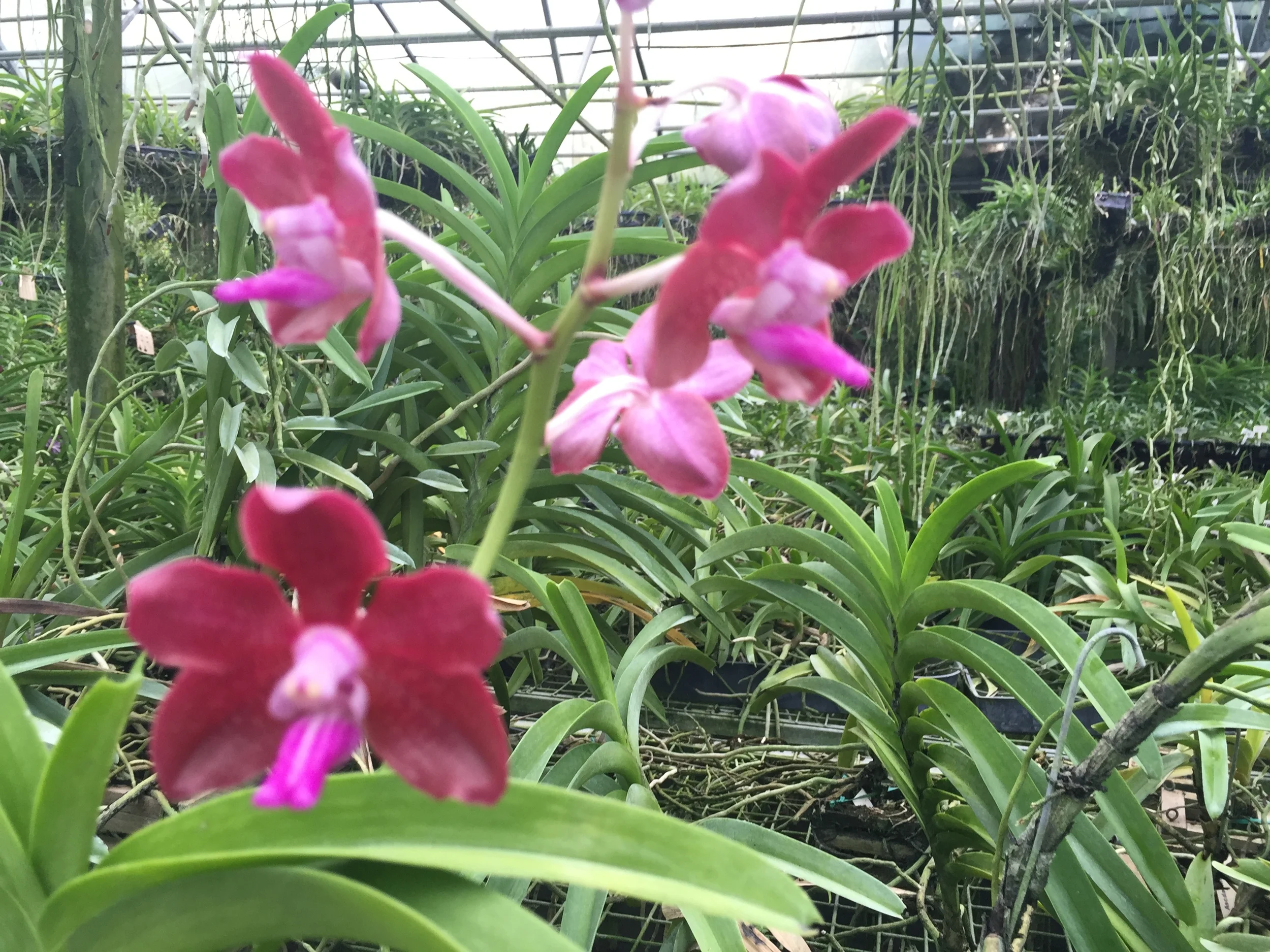 2015-09-10 08.30.31.jpg