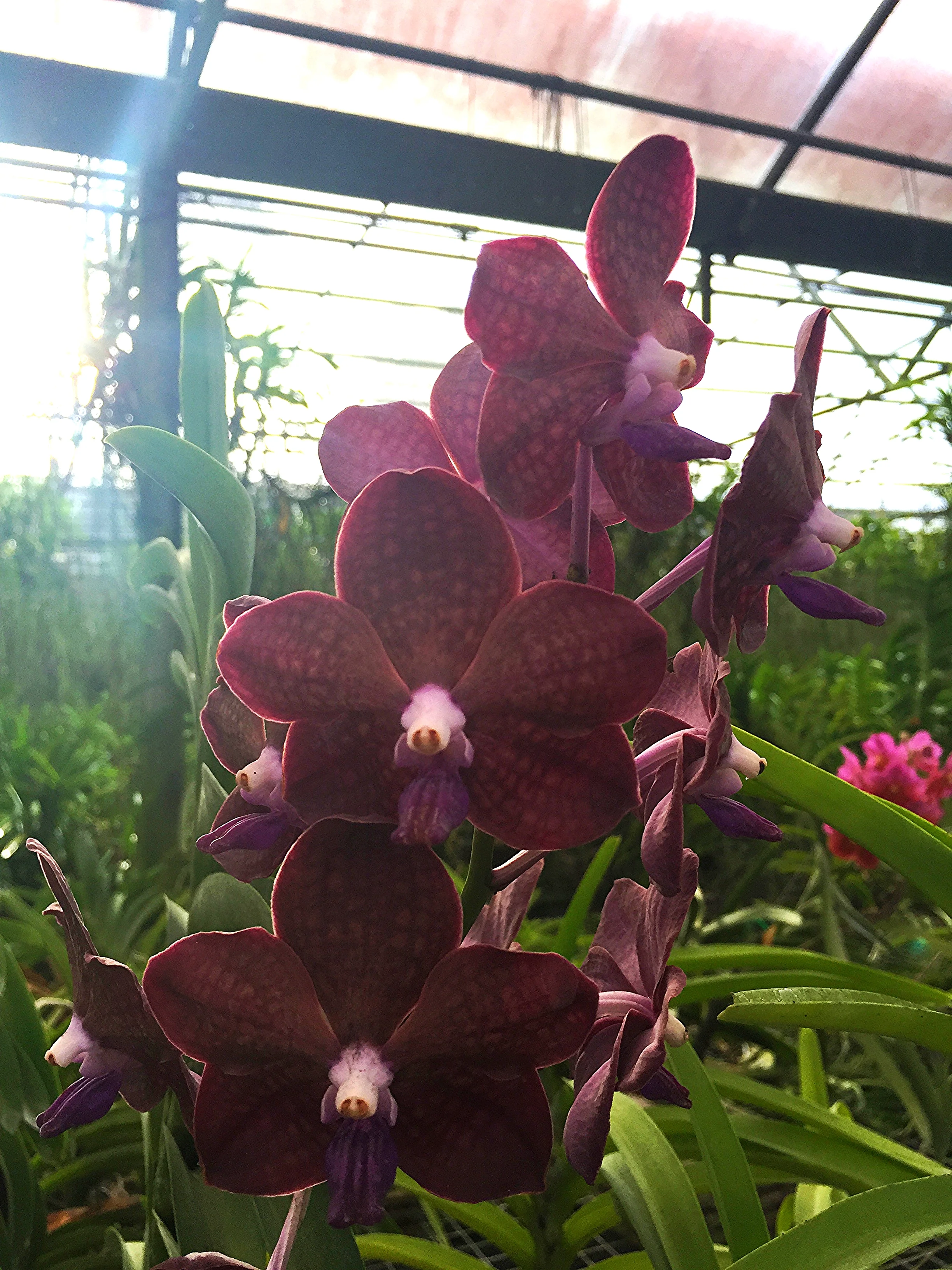 2015-09-10 08.27.01.jpg