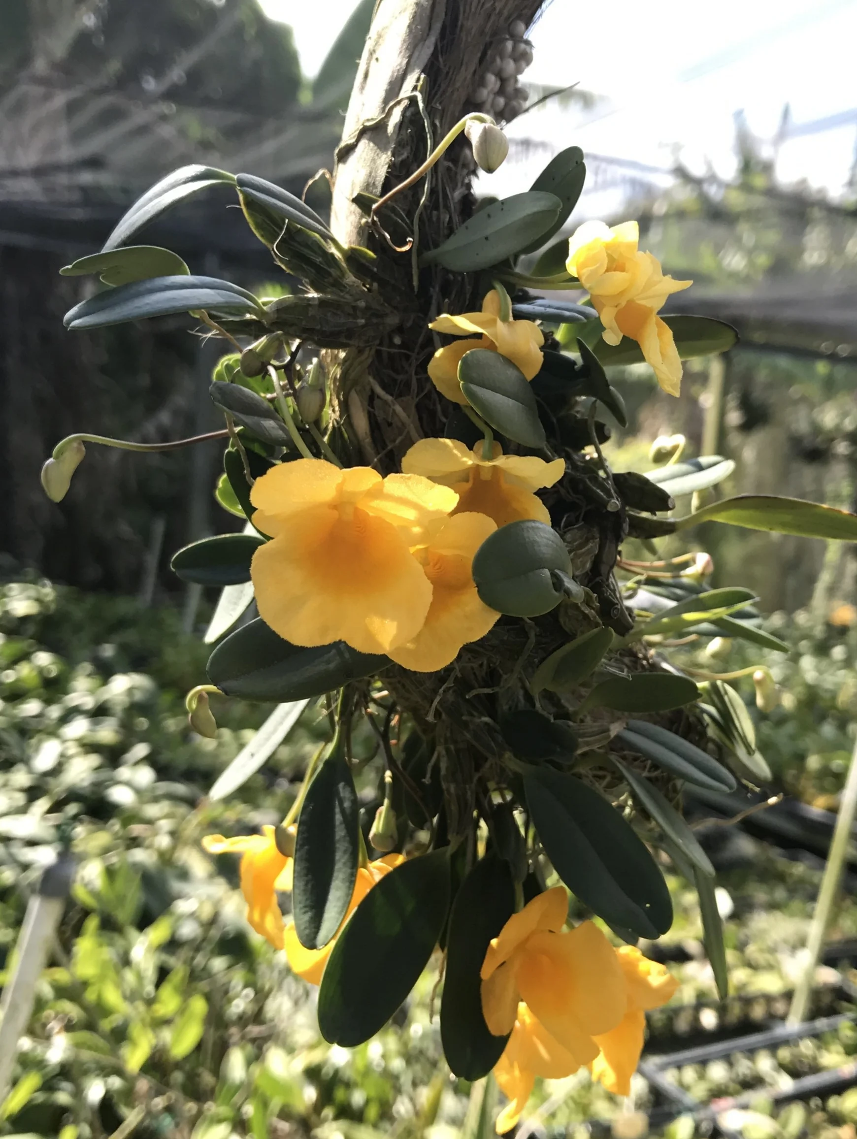 2017-04-03 16.27.13.jpg