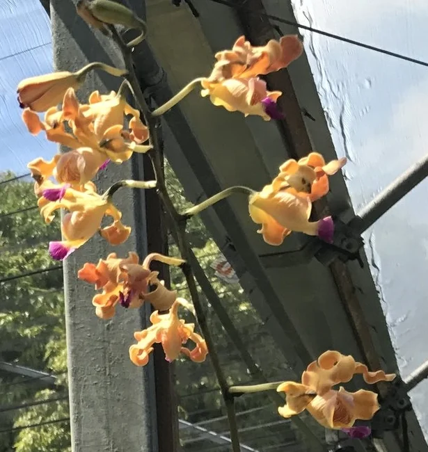 2017-05-12 15.23.28.jpg