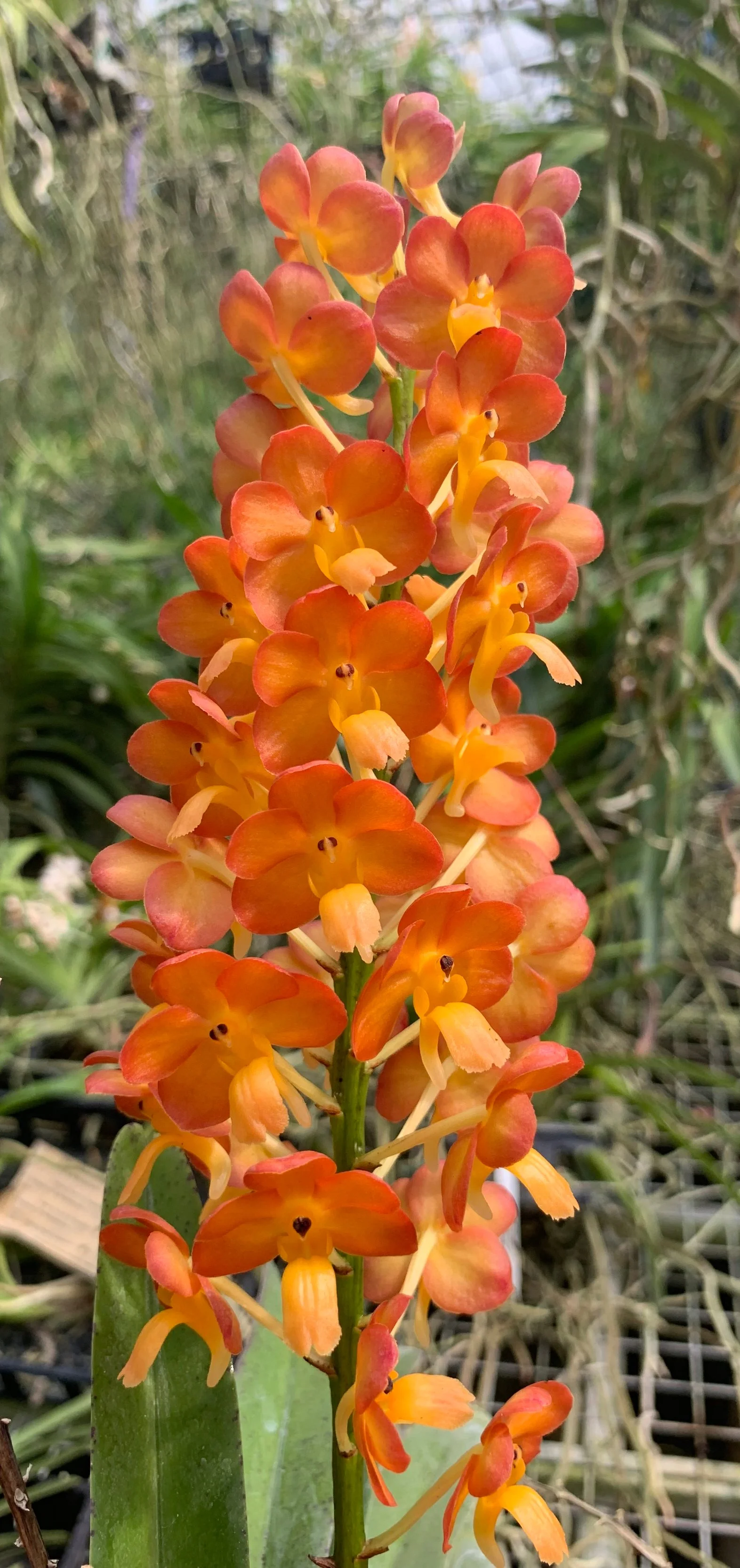 image1+%287%29.jpg
