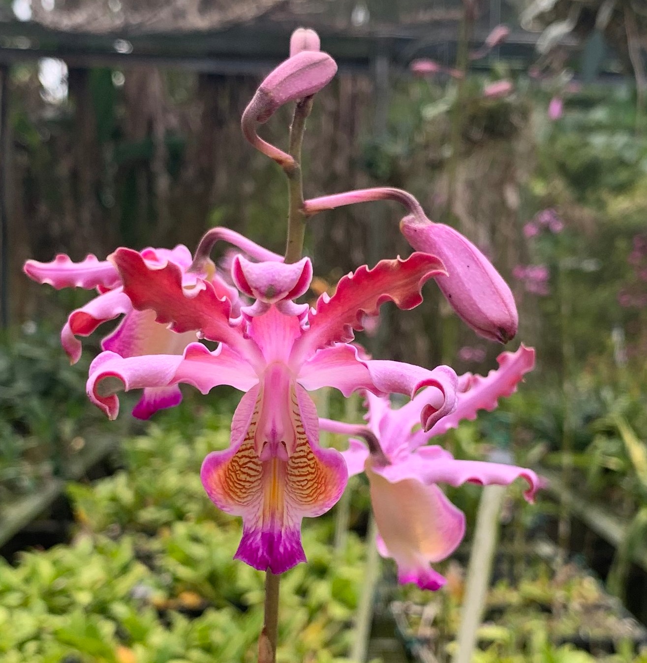 image1+%288%29.jpg