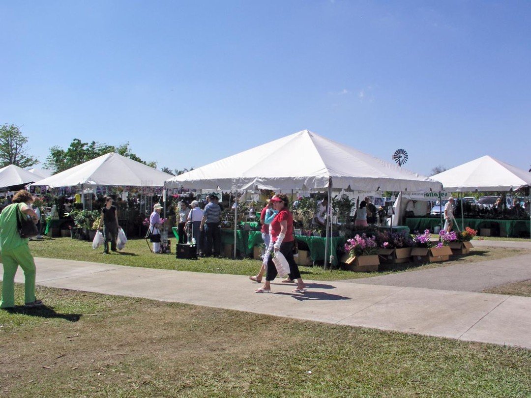 Join us for the 2024 Rare Plant Festival this weekend! Discover amazing orchids, rare plants, and more, all while enjoying delicious food and drinks. Gates open Friday at 10 am! Don&rsquo;t miss this chance to connect with fellow plant lovers and exp