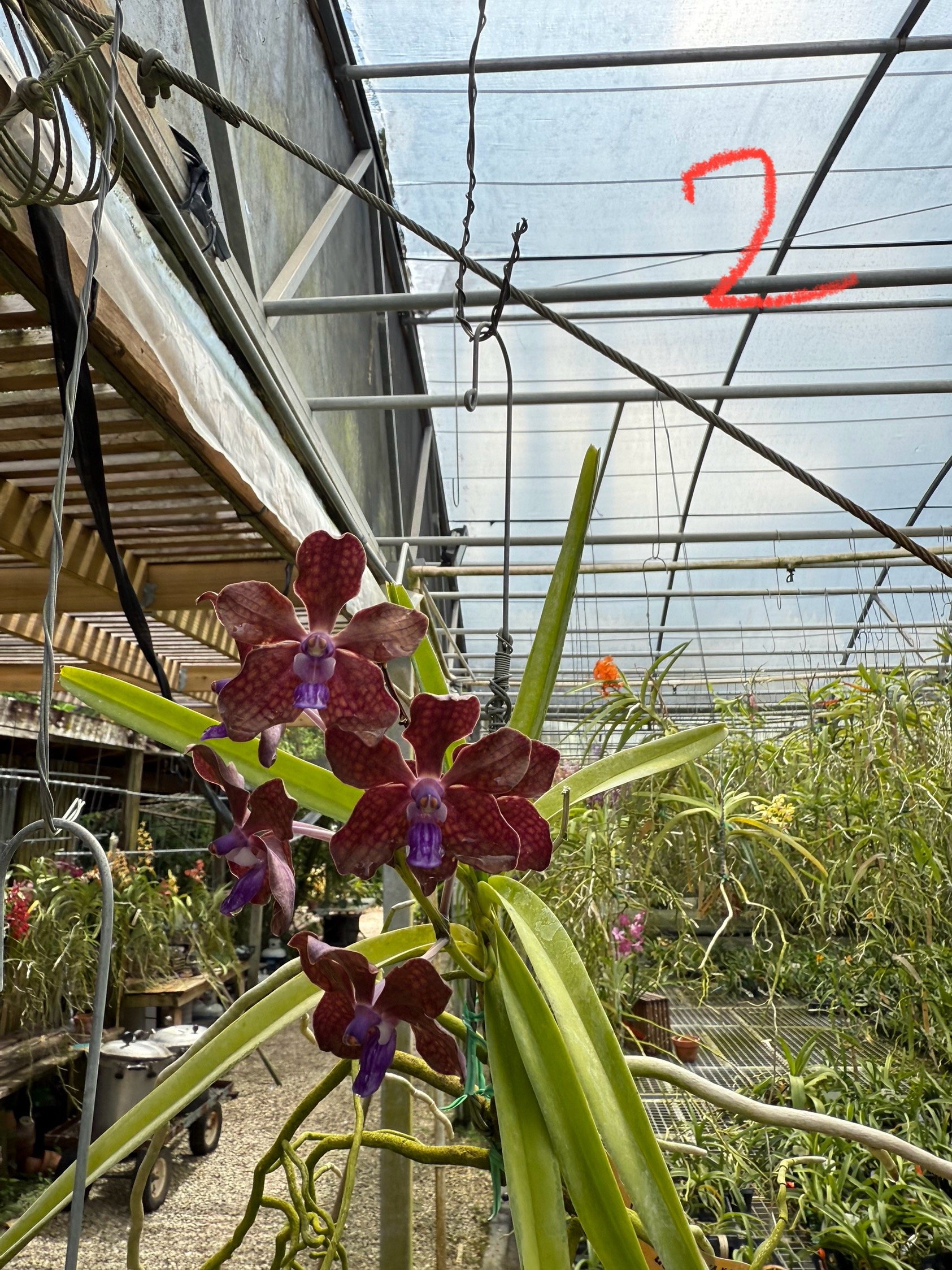 BD70CFFE-F7DD-4E3C-B657-C9209728F1BF.jpeg