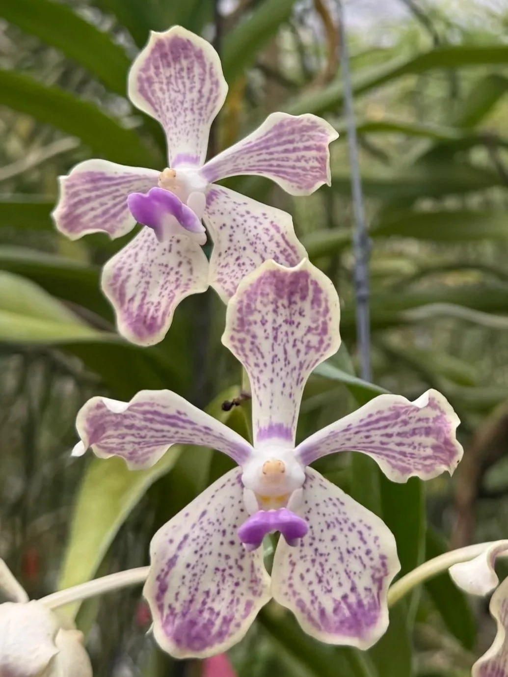 image0+%2812%29.jpg