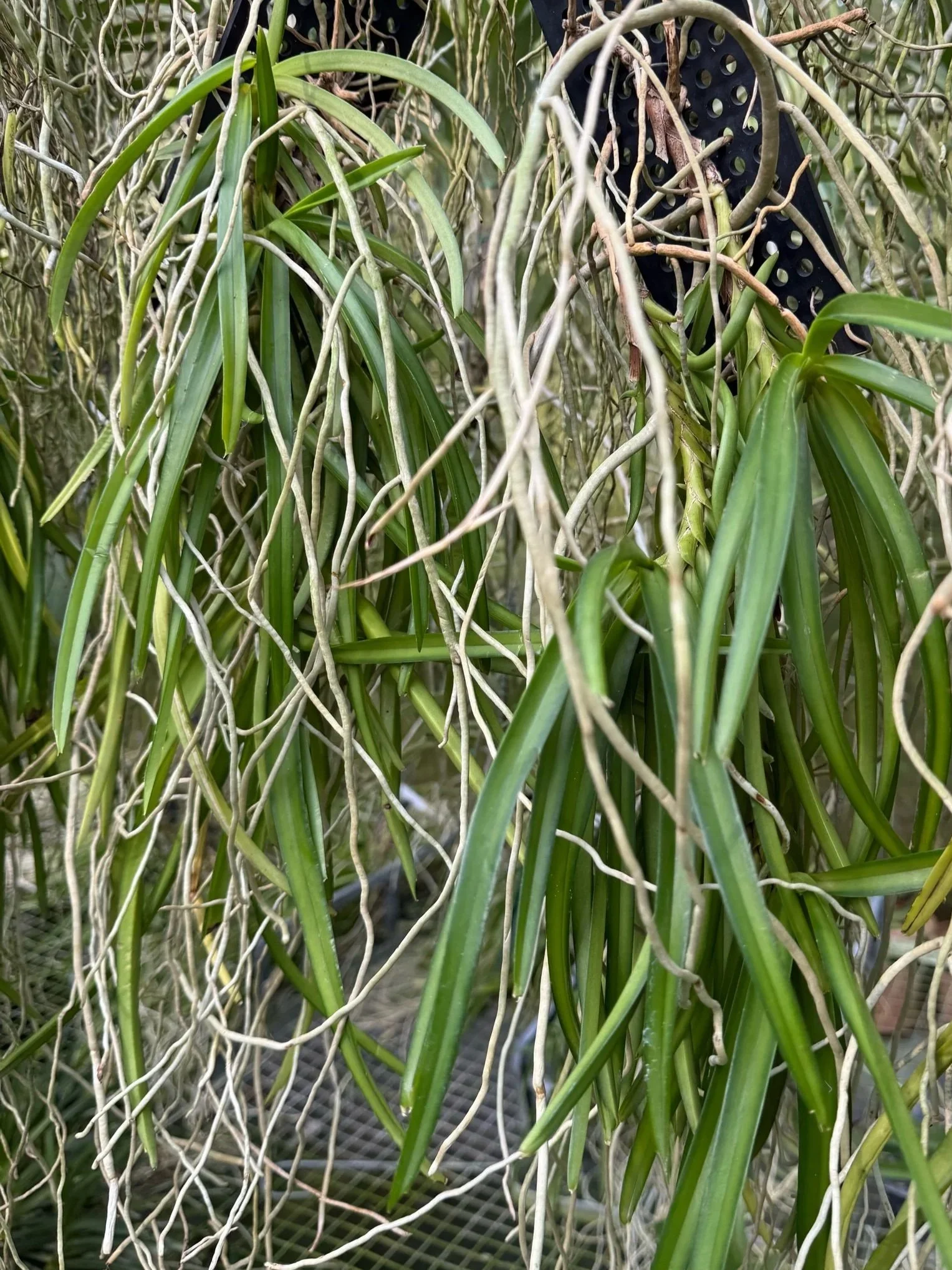 D8D51E7C-C2E4-4D64-9D57-1700B86B65F6.jpg