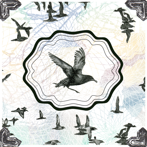 BirdIllustrationLauraBennettDesign.png
