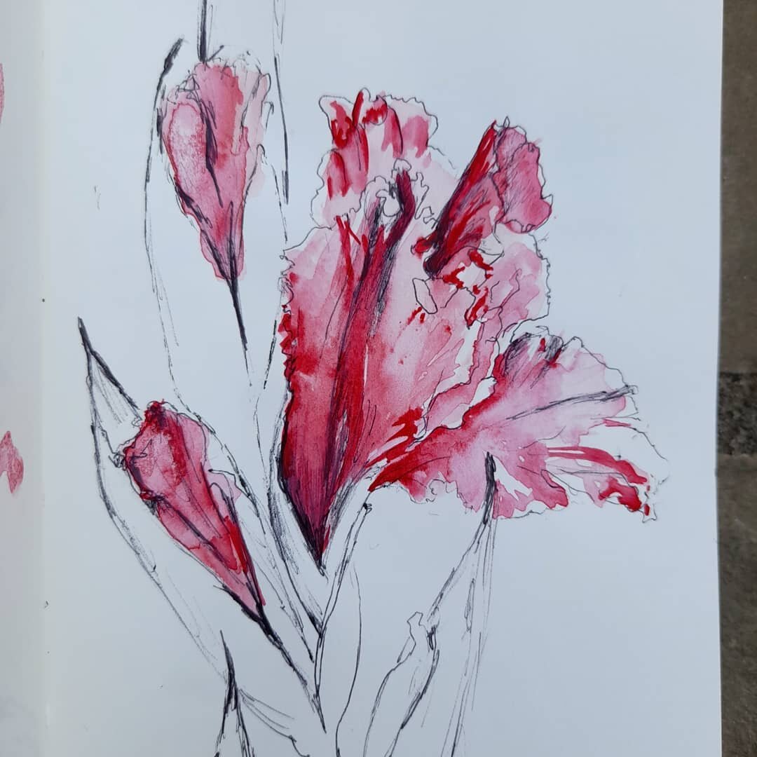 Wondering why I ever stopped sketching flowers? #gladioli #sketch #botanicalart