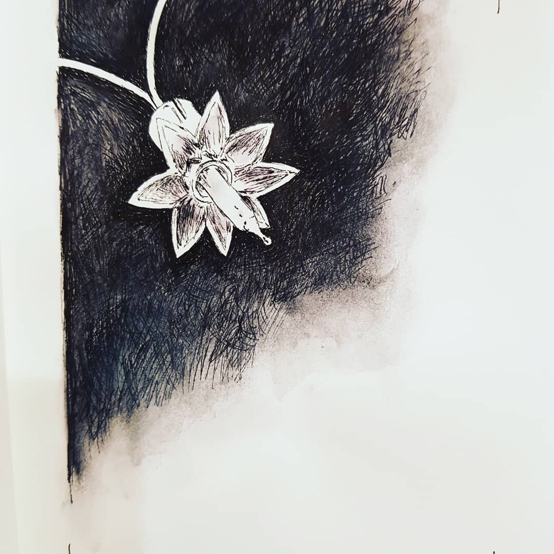 02.01.2020 #fairylight #sketch #darknessandlight