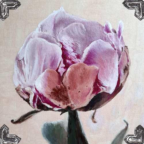 PeonyOilPaintingLauraBennett.png